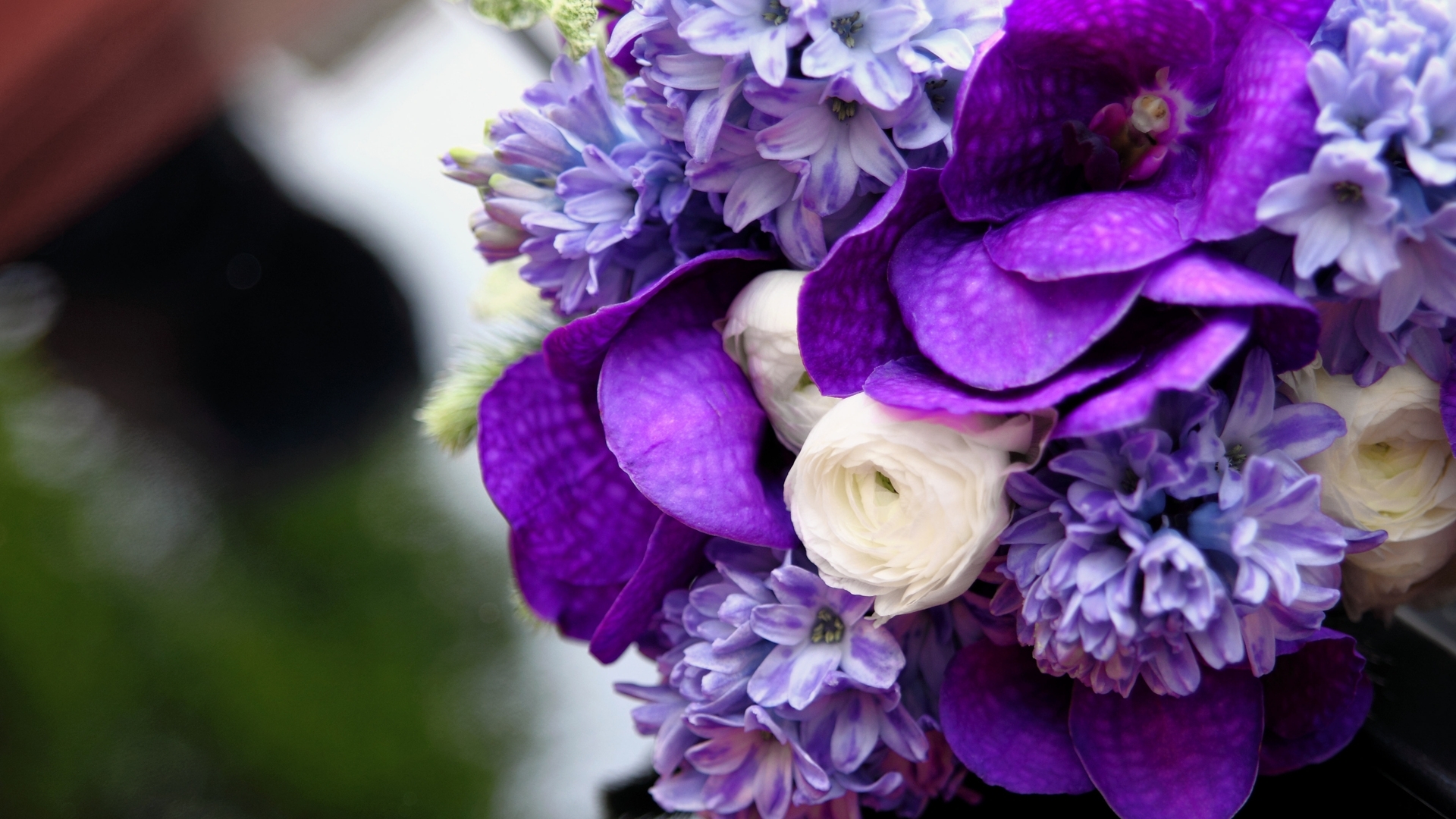 Téléchargez gratuitement l'image Bouquets, Plantes, Fleurs sur le bureau de votre PC