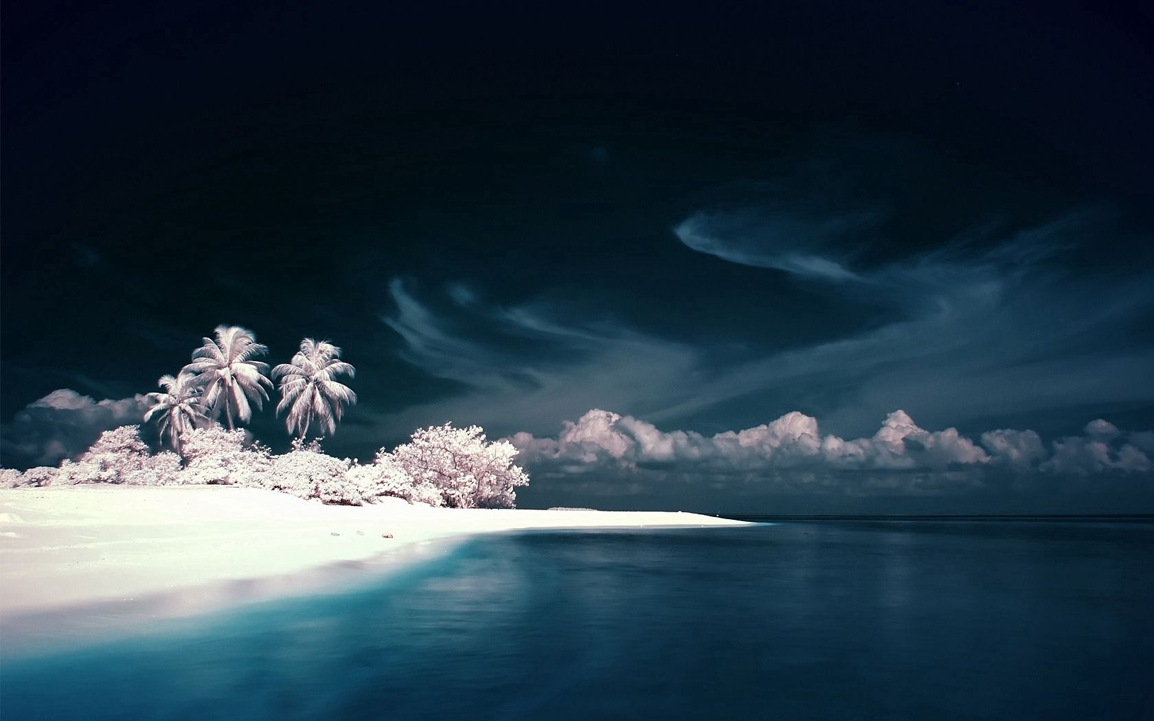 Download mobile wallpaper Shore, Bank, Snow, Sea, Palms, Nature for free.