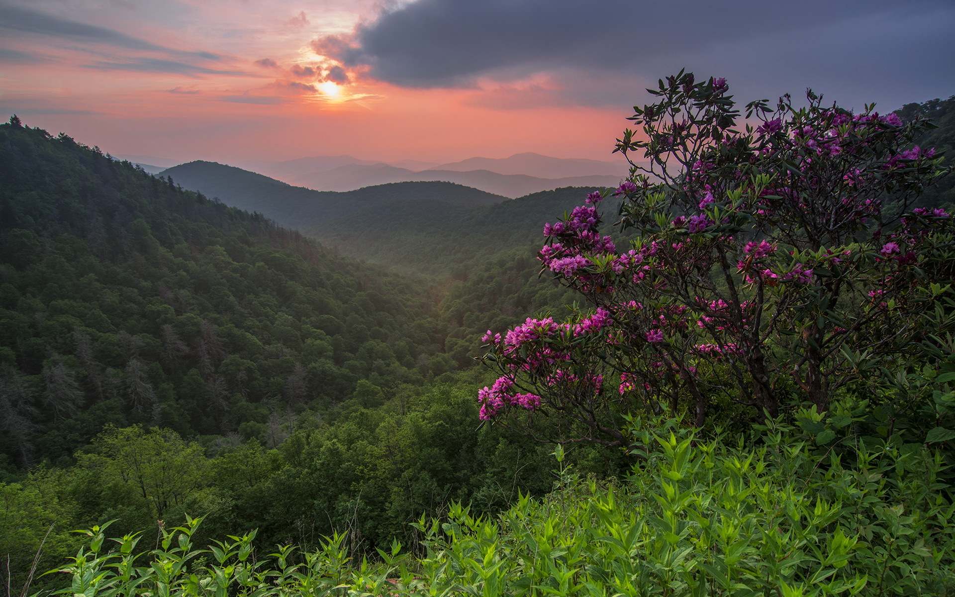 Téléchargez gratuitement l'image Coucher De Soleil, Terre/nature sur le bureau de votre PC