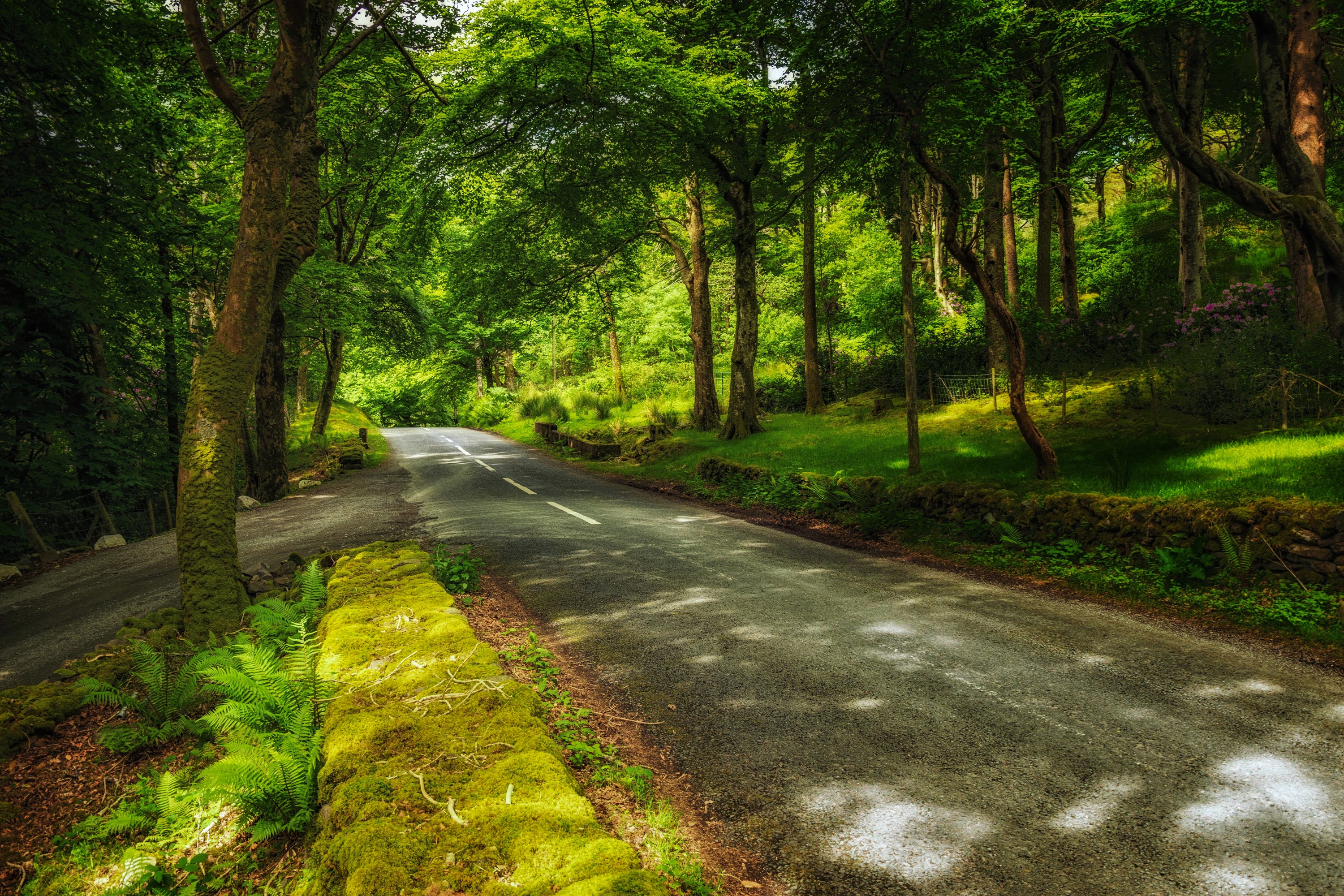 Download mobile wallpaper Nature, Road, Tree, Man Made, Greenery for free.