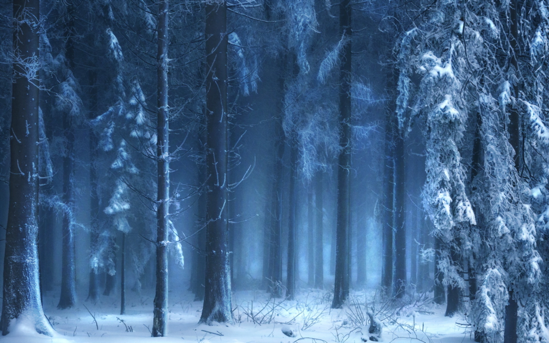 Download mobile wallpaper Winter, Earth for free.