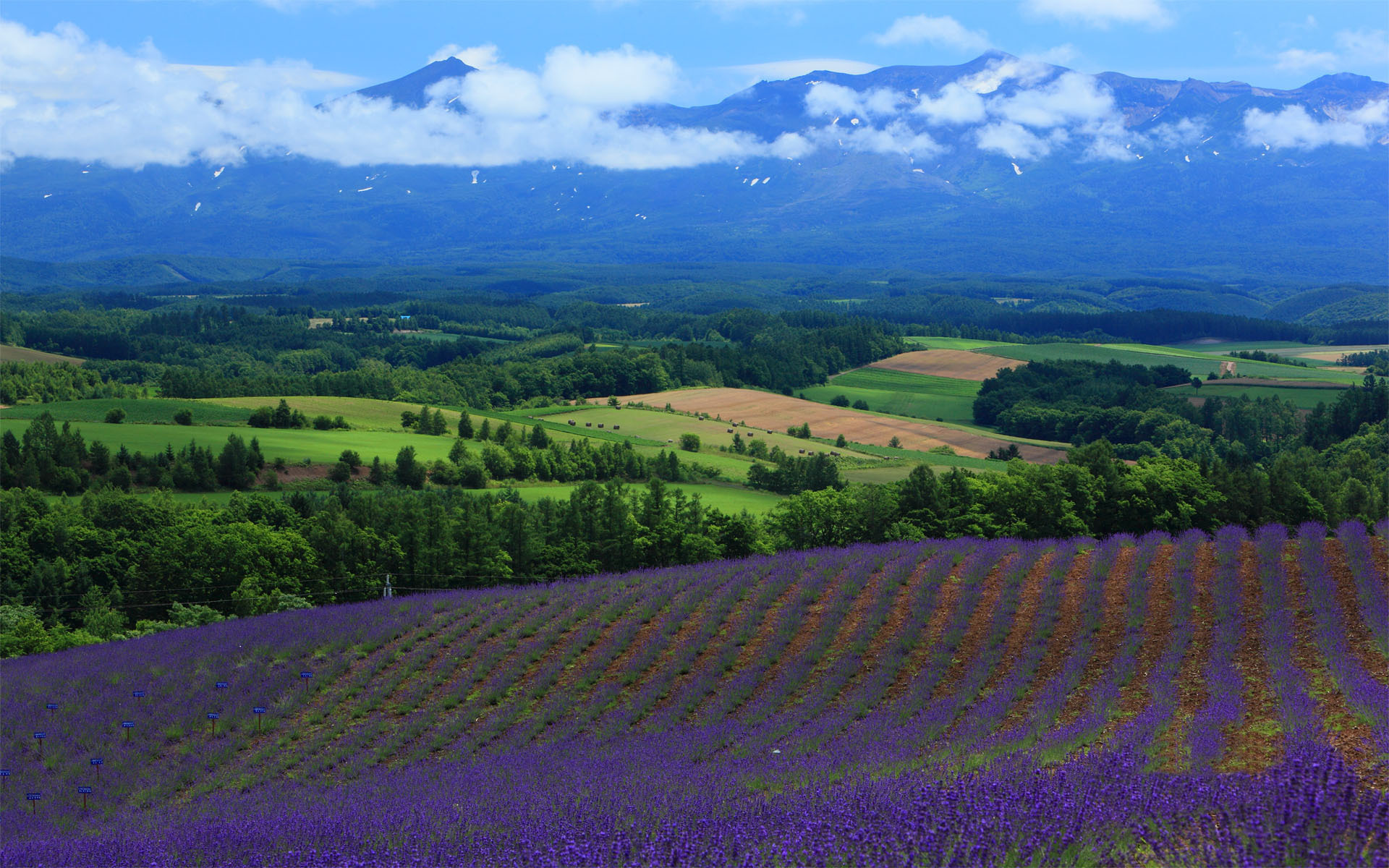 Téléchargez gratuitement l'image Paysage, Terre/nature sur le bureau de votre PC