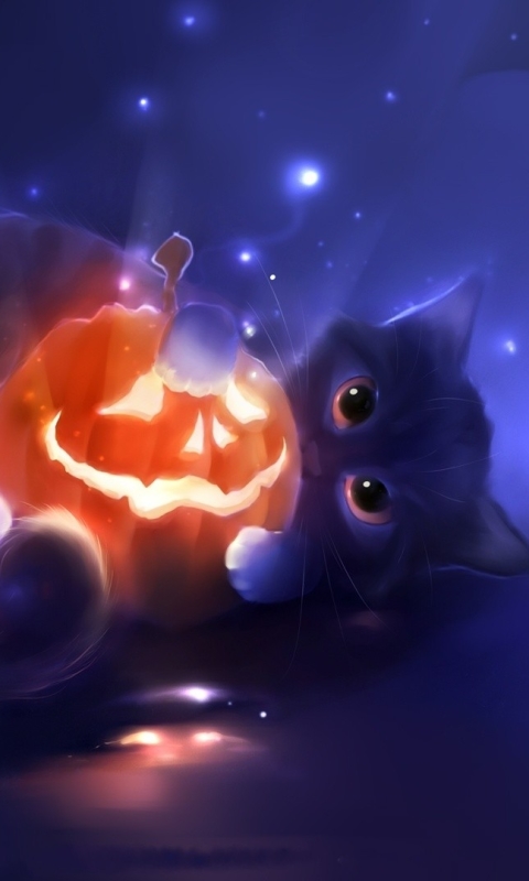 Download mobile wallpaper Halloween, Pumpkin, Cat, Holiday for free.