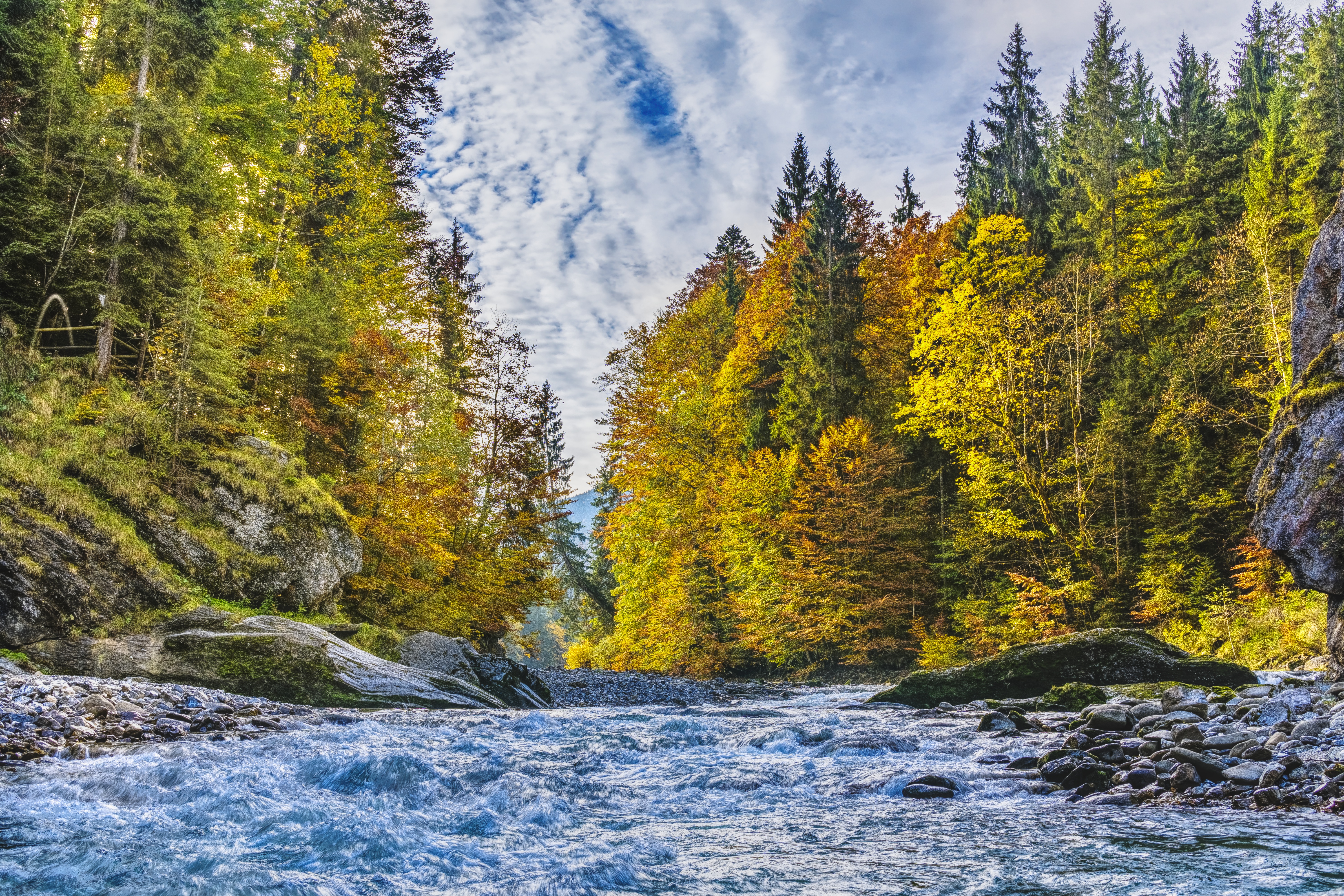 Скачать картинку Река, Деревья, Течение, Природа, Осень в телефон бесплатно.