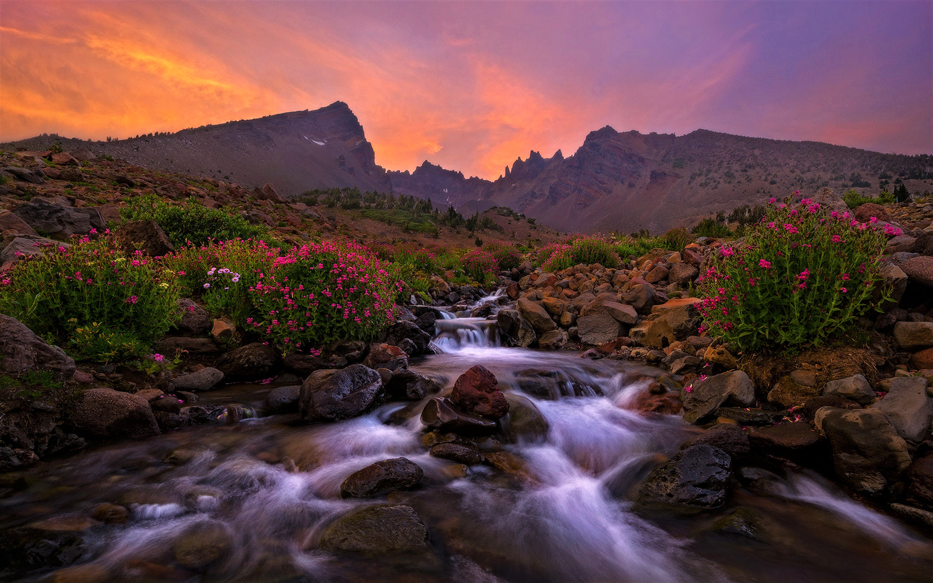 Descarga gratis la imagen Cielo, Montaña, Flor, Atardecer, Tierra/naturaleza en el escritorio de tu PC