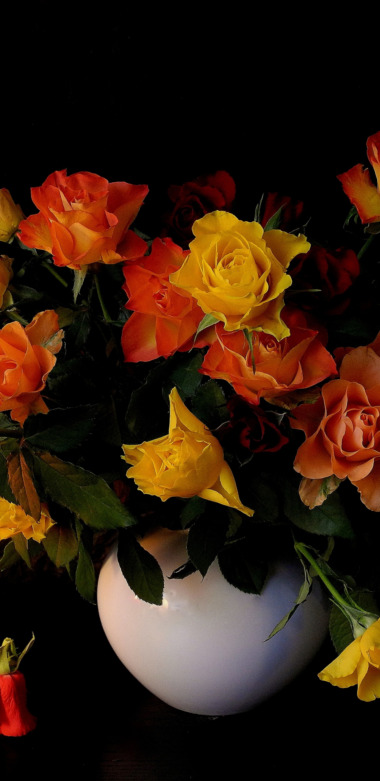 Handy-Wallpaper Rose, Farben, Vase, Fotografie, Gelbe Blume, Stillleben, Orangene Blume kostenlos herunterladen.