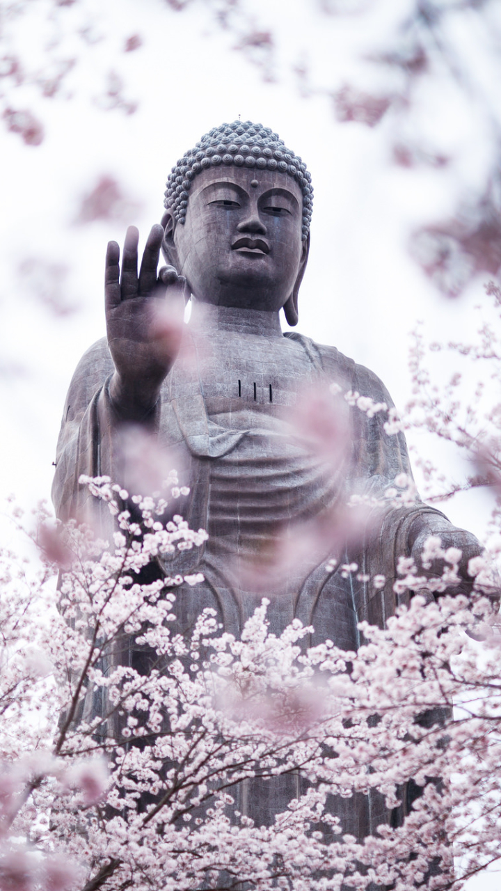 Handy-Wallpaper Buddha, Statue, Frühling, Blüte, Religiös kostenlos herunterladen.