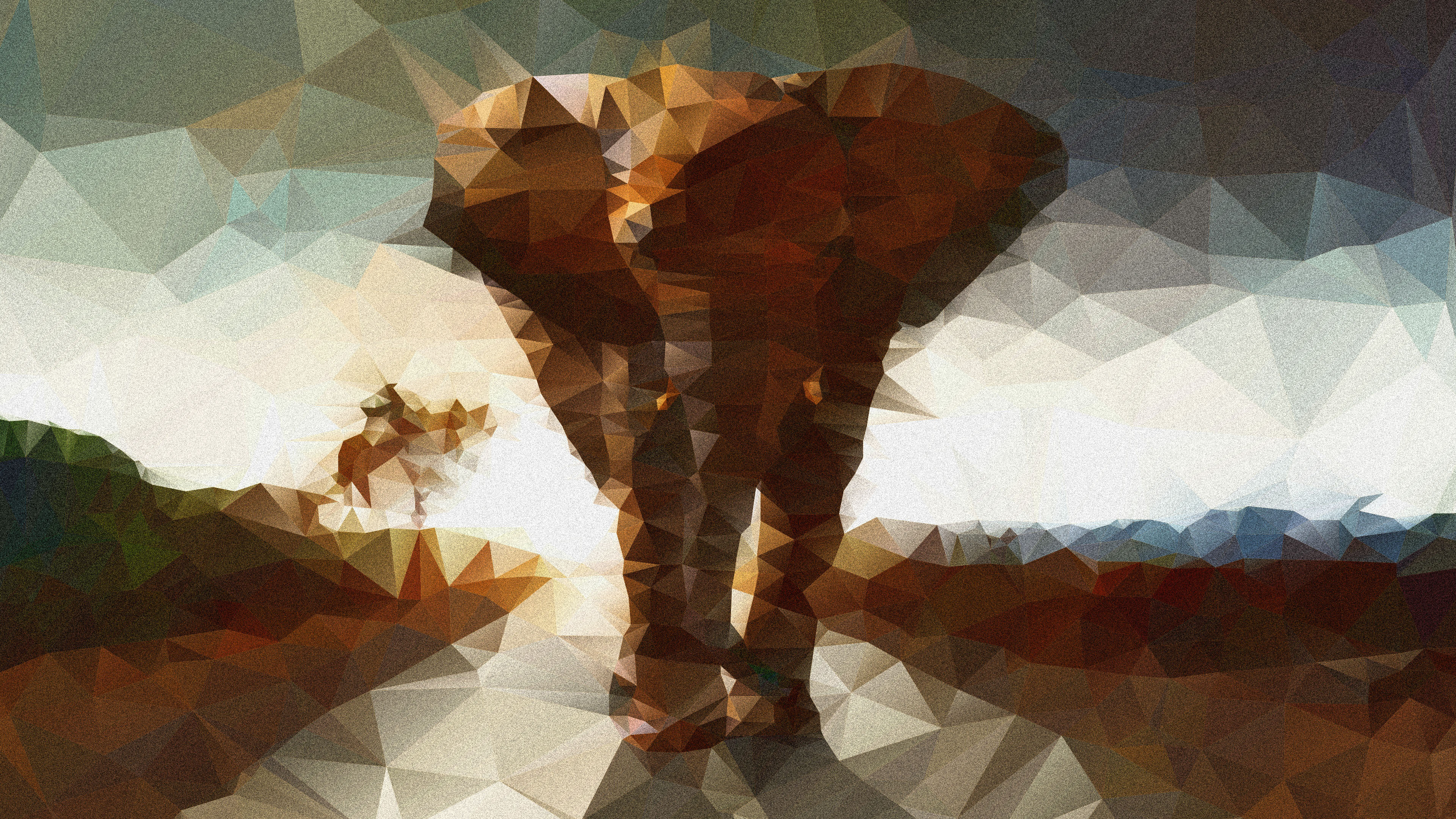 elephants, animal, african bush elephant