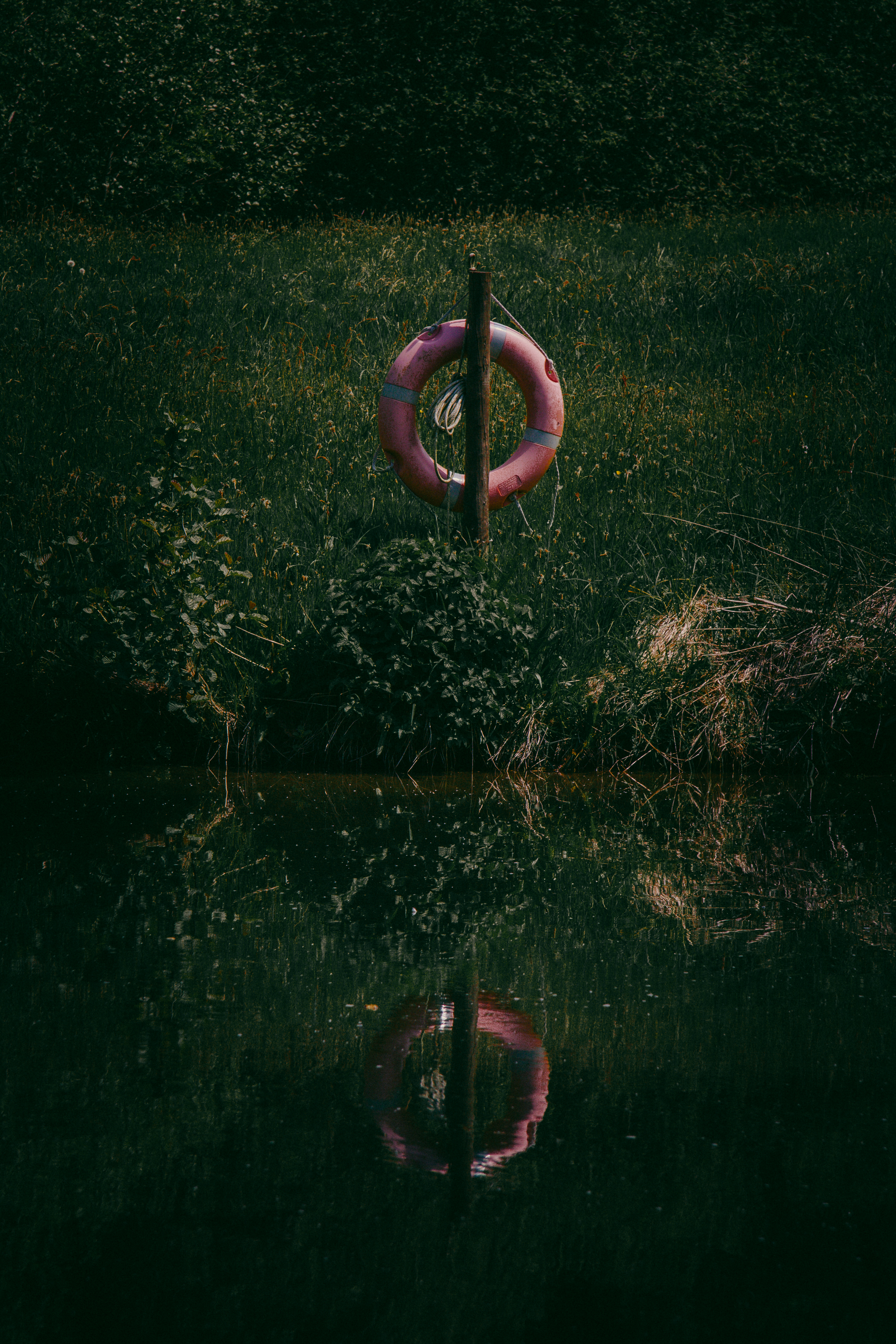 nature, water, rivers, grass, lake, reflection, lifebuoy, life buoy