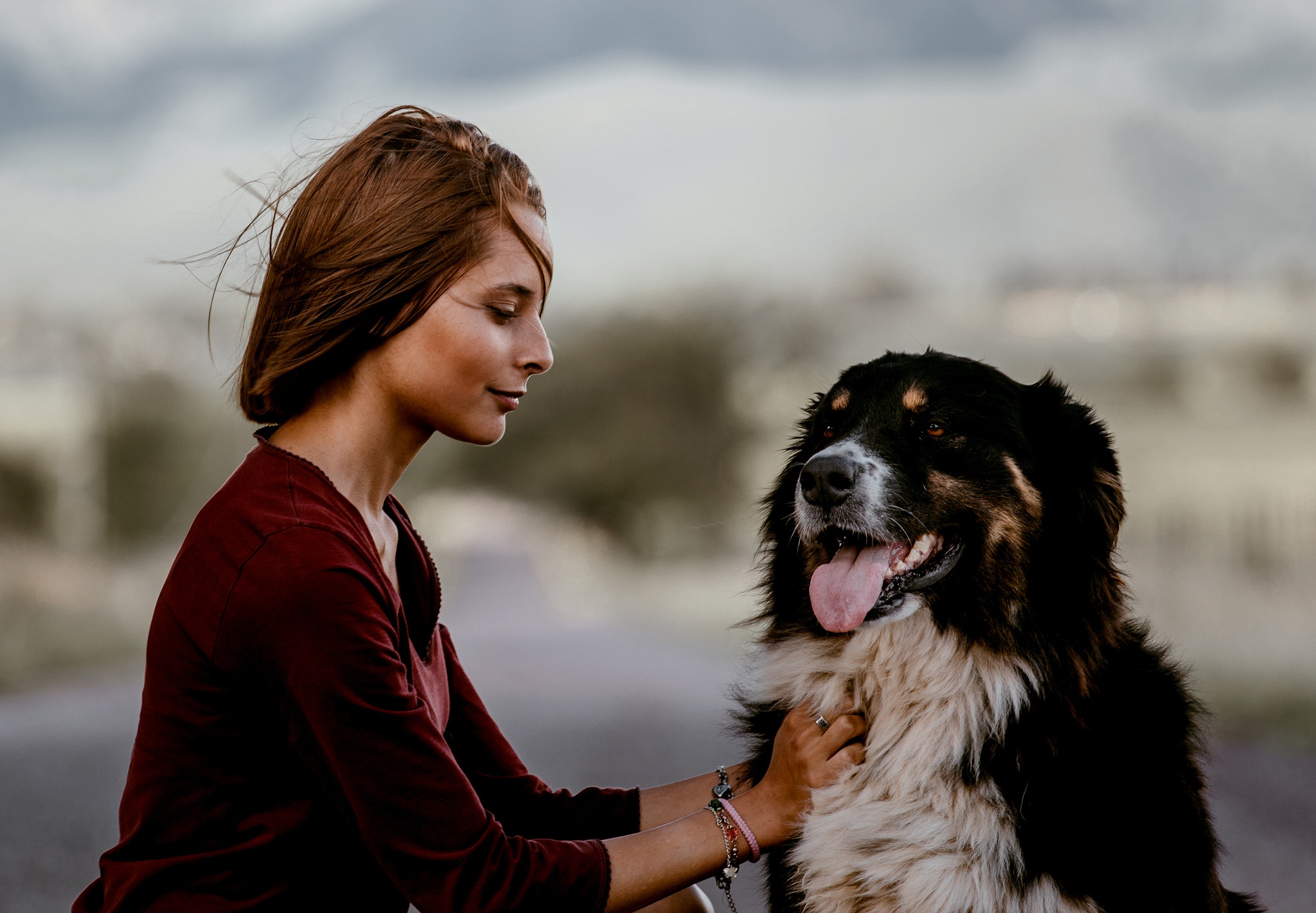 women, model, bernese mountain dog, depth of field, dog, redhead High Definition image