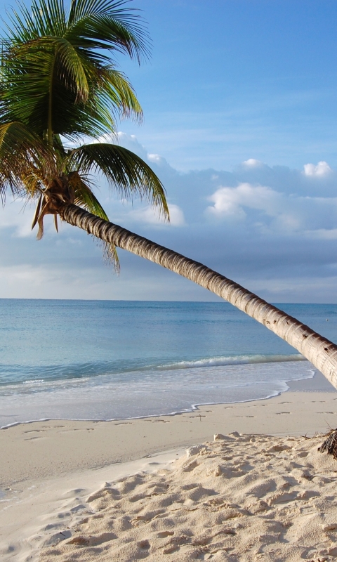 Descarga gratuita de fondo de pantalla para móvil de Playa, Fotografía.