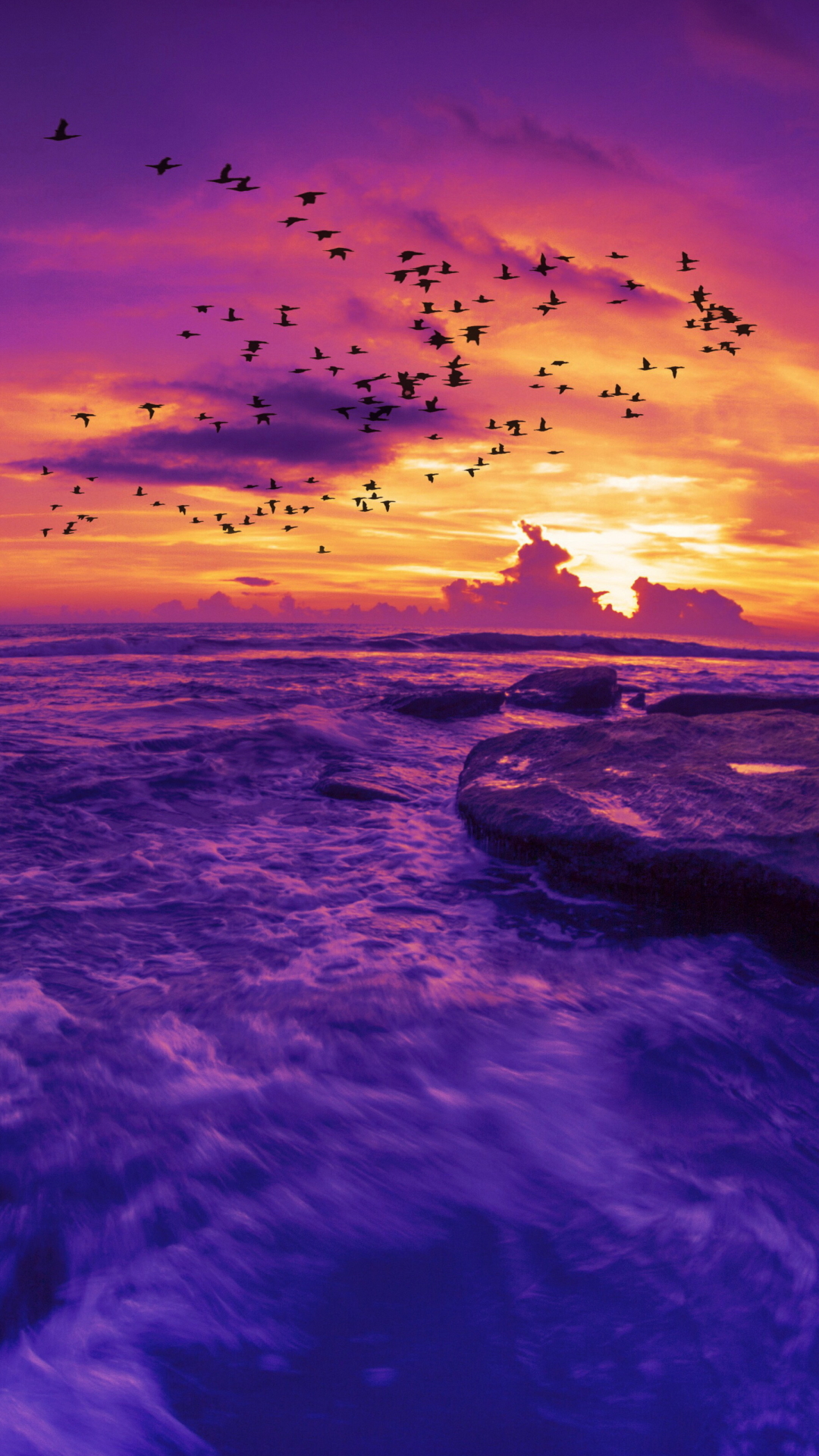 Download mobile wallpaper Sunset, Sky, Sea, Horizon, Silhouette, Bird, Ocean, Earth, Purple for free.