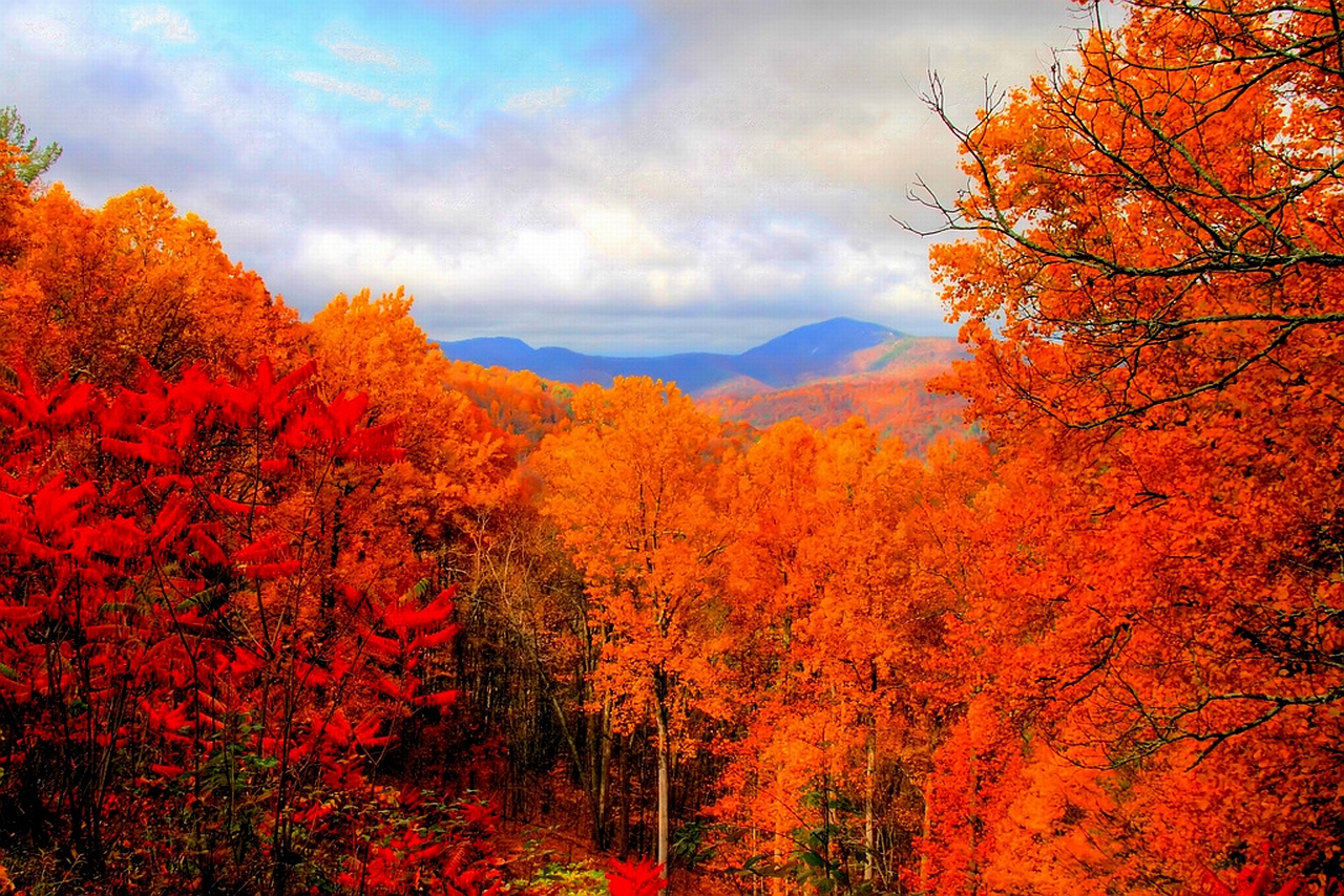 Descarga gratuita de fondo de pantalla para móvil de Pintoresco, Tierra/naturaleza.