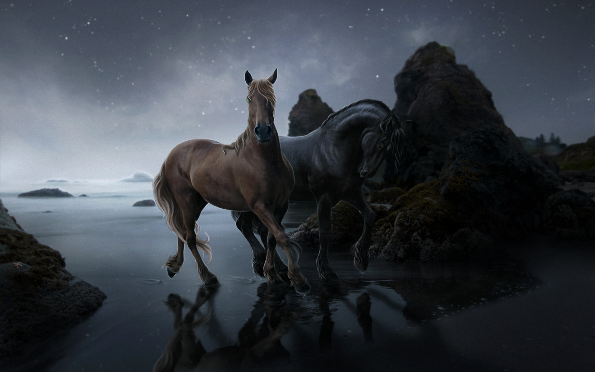 Free download wallpaper Animal, Horse on your PC desktop