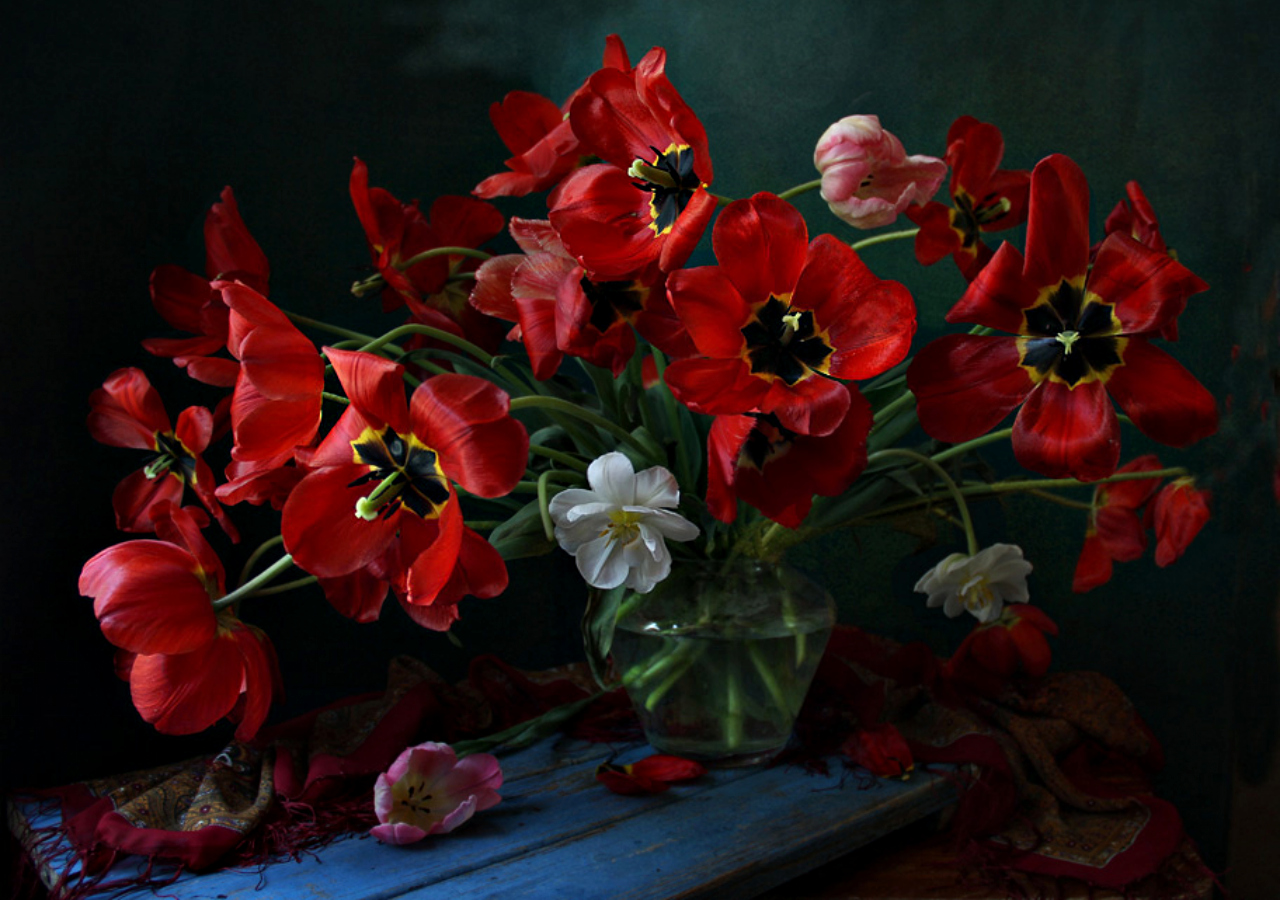 Descarga gratis la imagen Flor, Tulipán, Flor Roja, Hecho Por El Hombre en el escritorio de tu PC