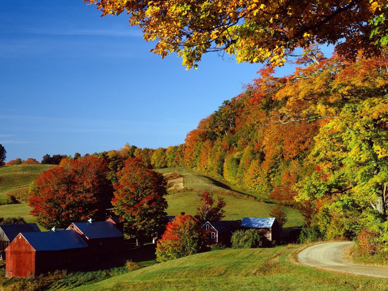 village, autumn, nature, houses, trees, meadows HD wallpaper