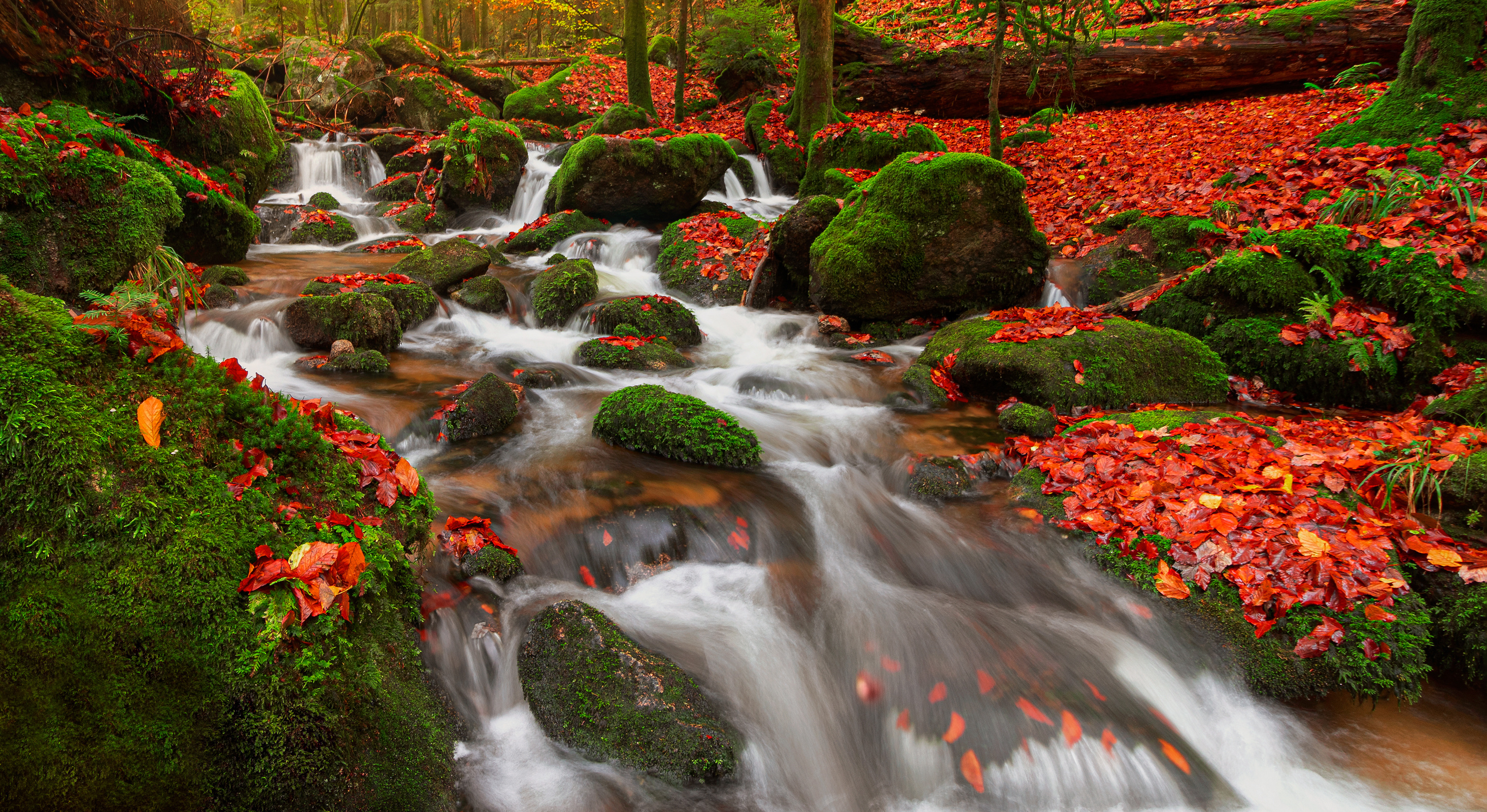 Free download wallpaper Nature, Fall, Earth, Stream on your PC desktop