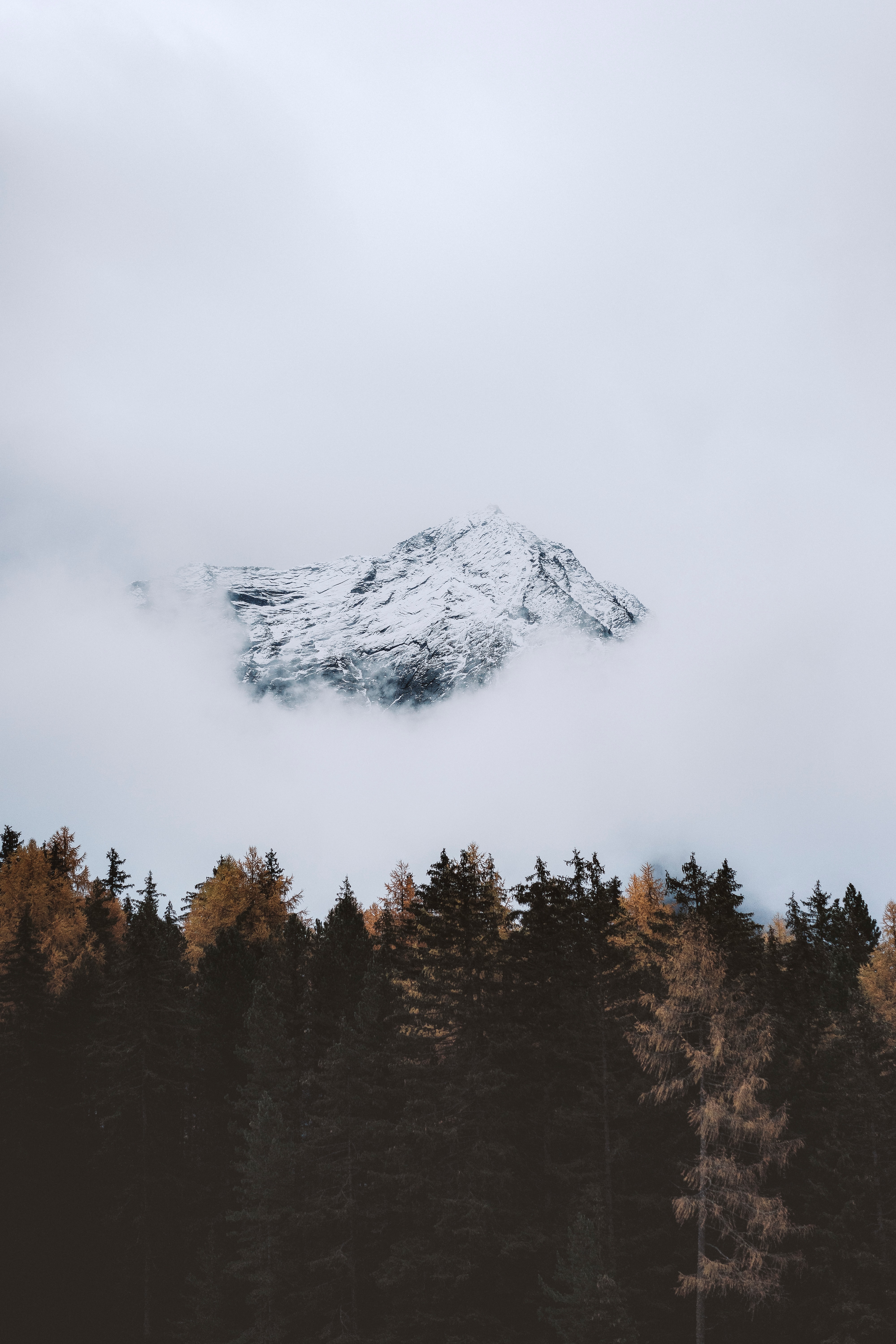 Скачать картинку Облако, Вершина, Гора, Деревья, Природа в телефон бесплатно.