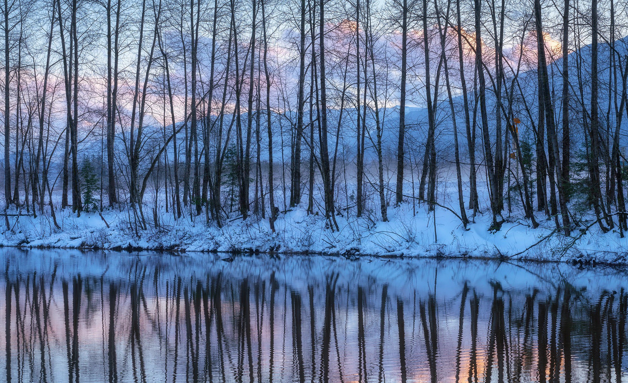 Download mobile wallpaper Winter, Reflection, Tree, Earth for free.