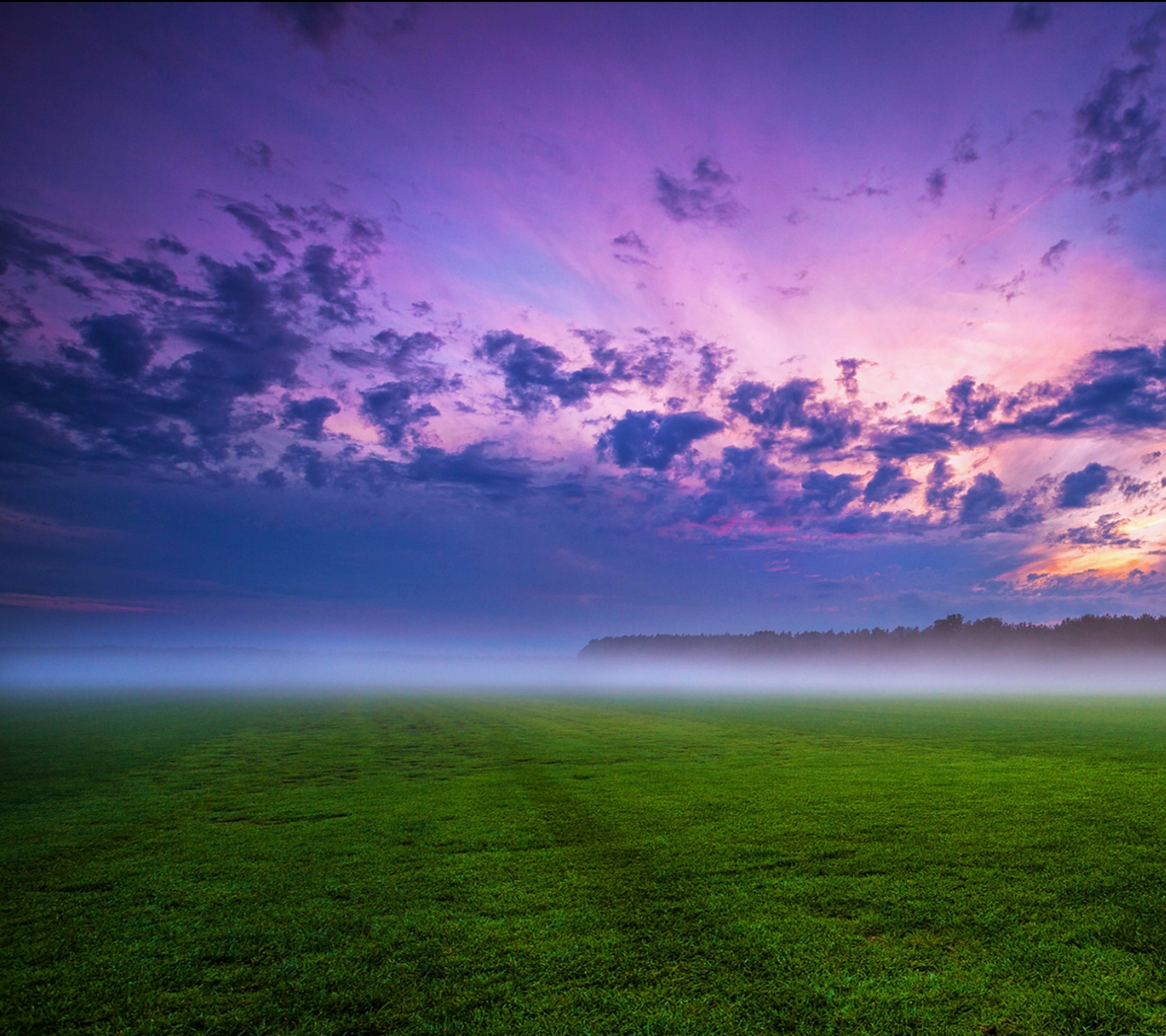 Laden Sie das Landschaft, Natur, Nebel, Sonnenaufgang, Feld, Wolke, Gras, Erde/natur-Bild kostenlos auf Ihren PC-Desktop herunter