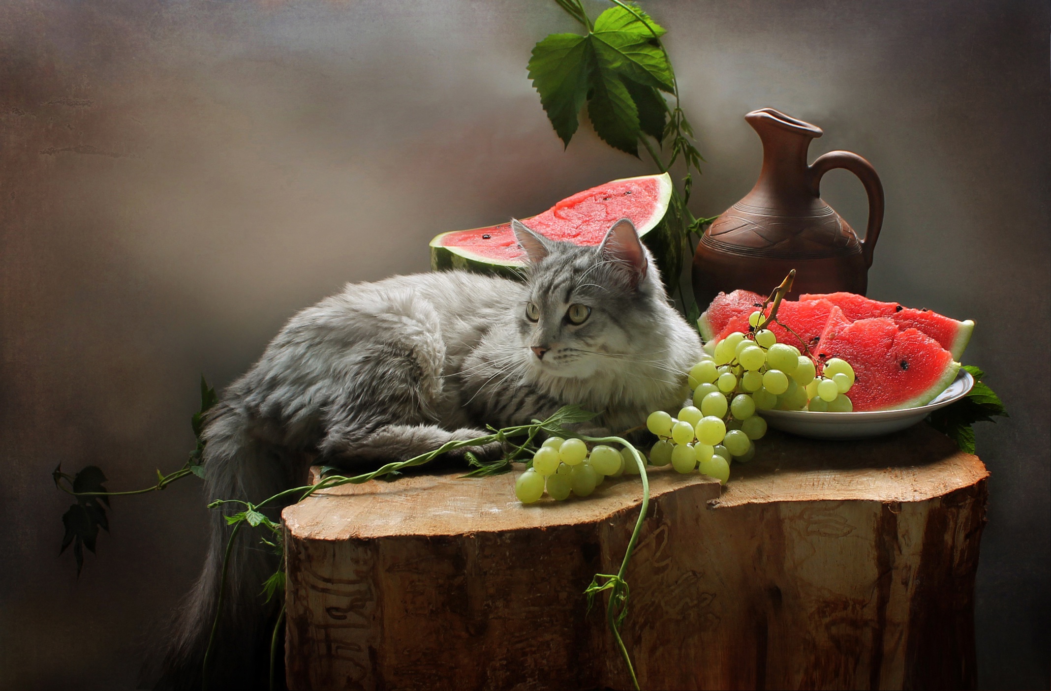 Download mobile wallpaper Cats, Grapes, Still Life, Cat, Animal, Fruit, Watermelon for free.