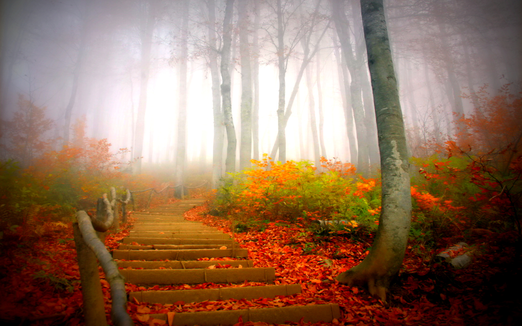 PCデスクトップに秋, 霧, 階段, マンメイド画像を無料でダウンロード