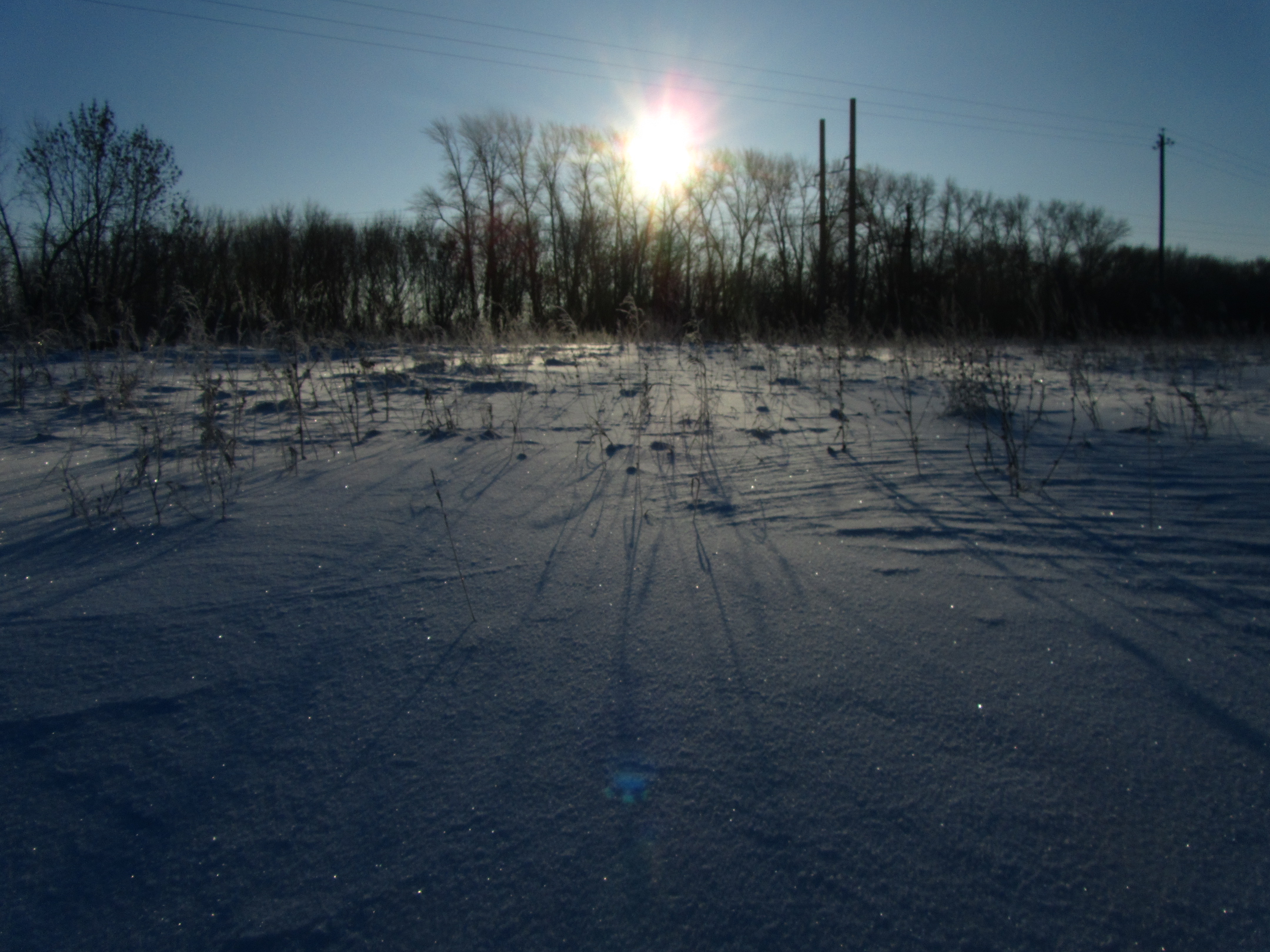 Handy-Wallpaper Winter, Fotografie kostenlos herunterladen.