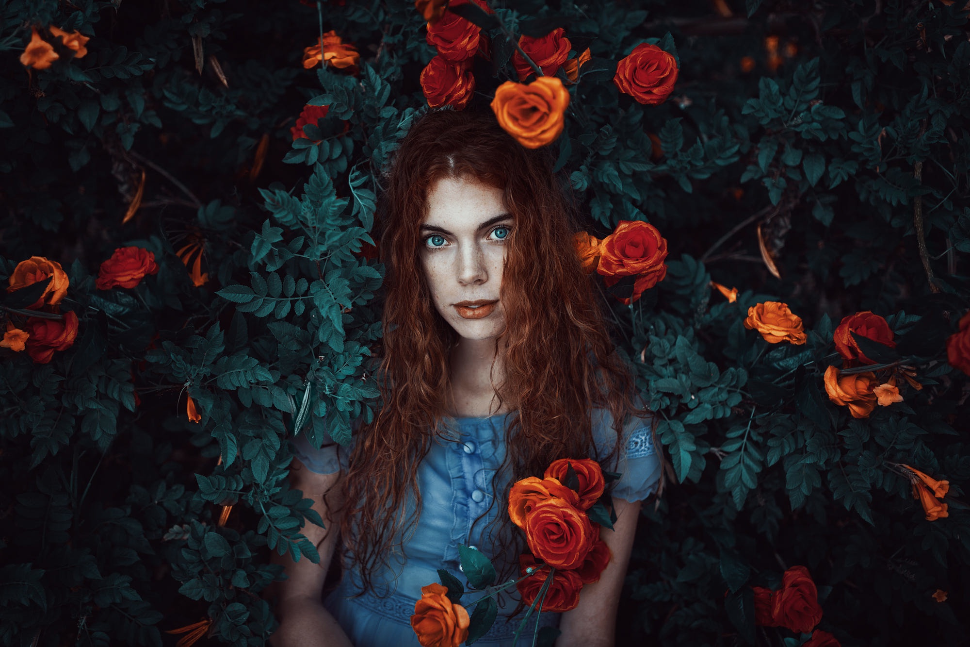 Laden Sie das Blume, Rose, Rothaarige, Modell, Frauen, Blaue Augen, Orangene Blume-Bild kostenlos auf Ihren PC-Desktop herunter