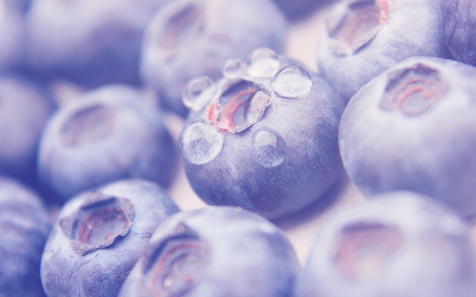 Download mobile wallpaper Food, Blueberry for free.