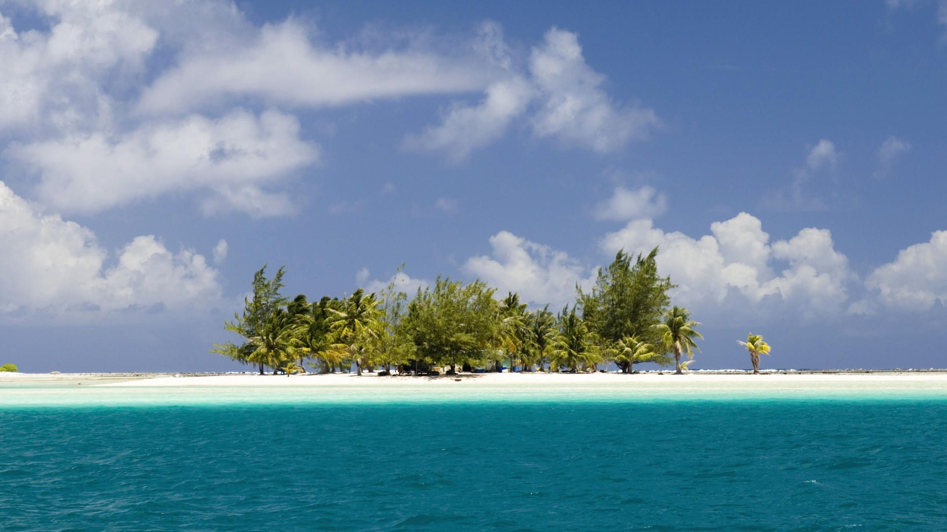 Handy-Wallpaper Insel, Palms, Die Insel, Natur, Ozean kostenlos herunterladen.