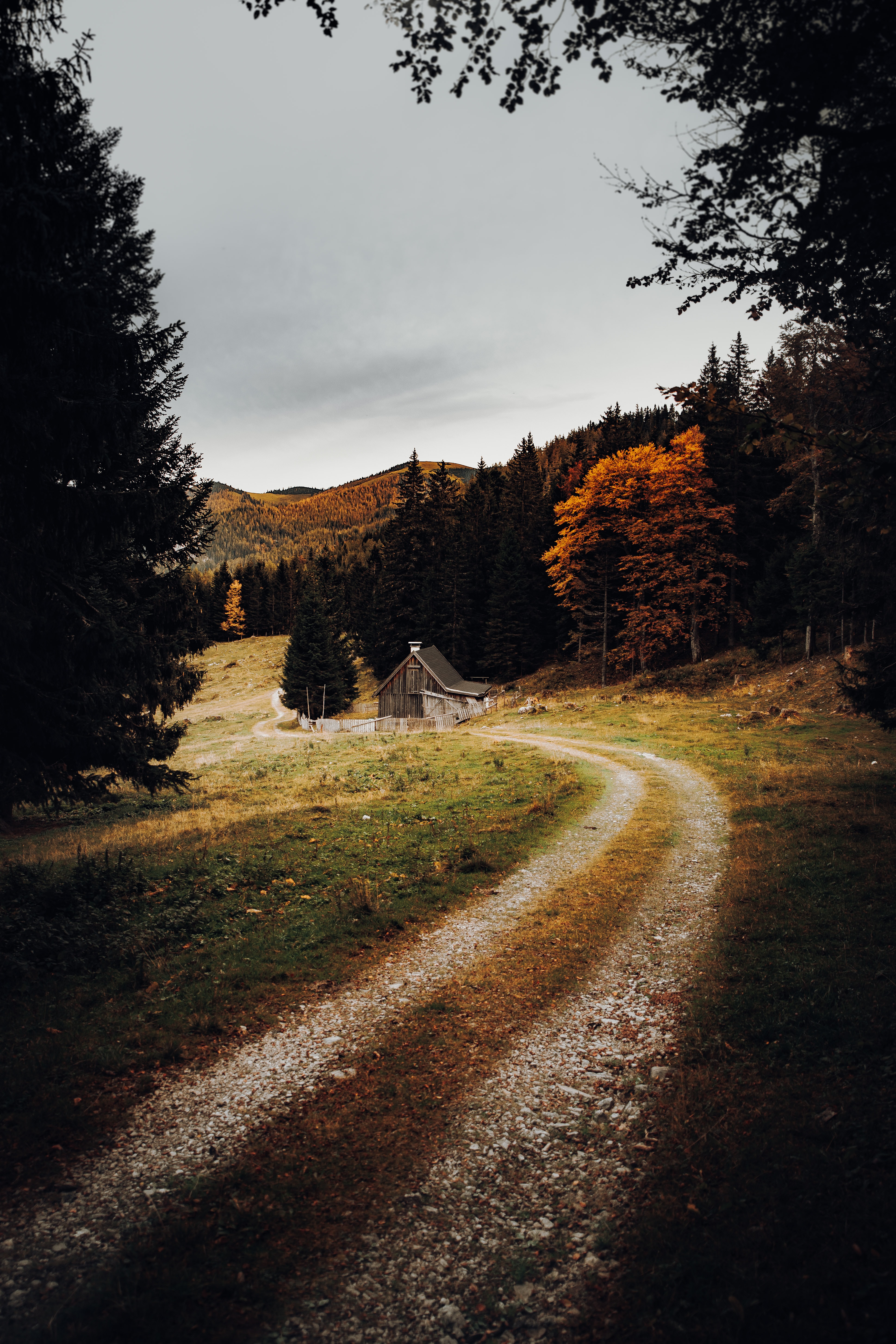 autumn, path, nature, forest, house
