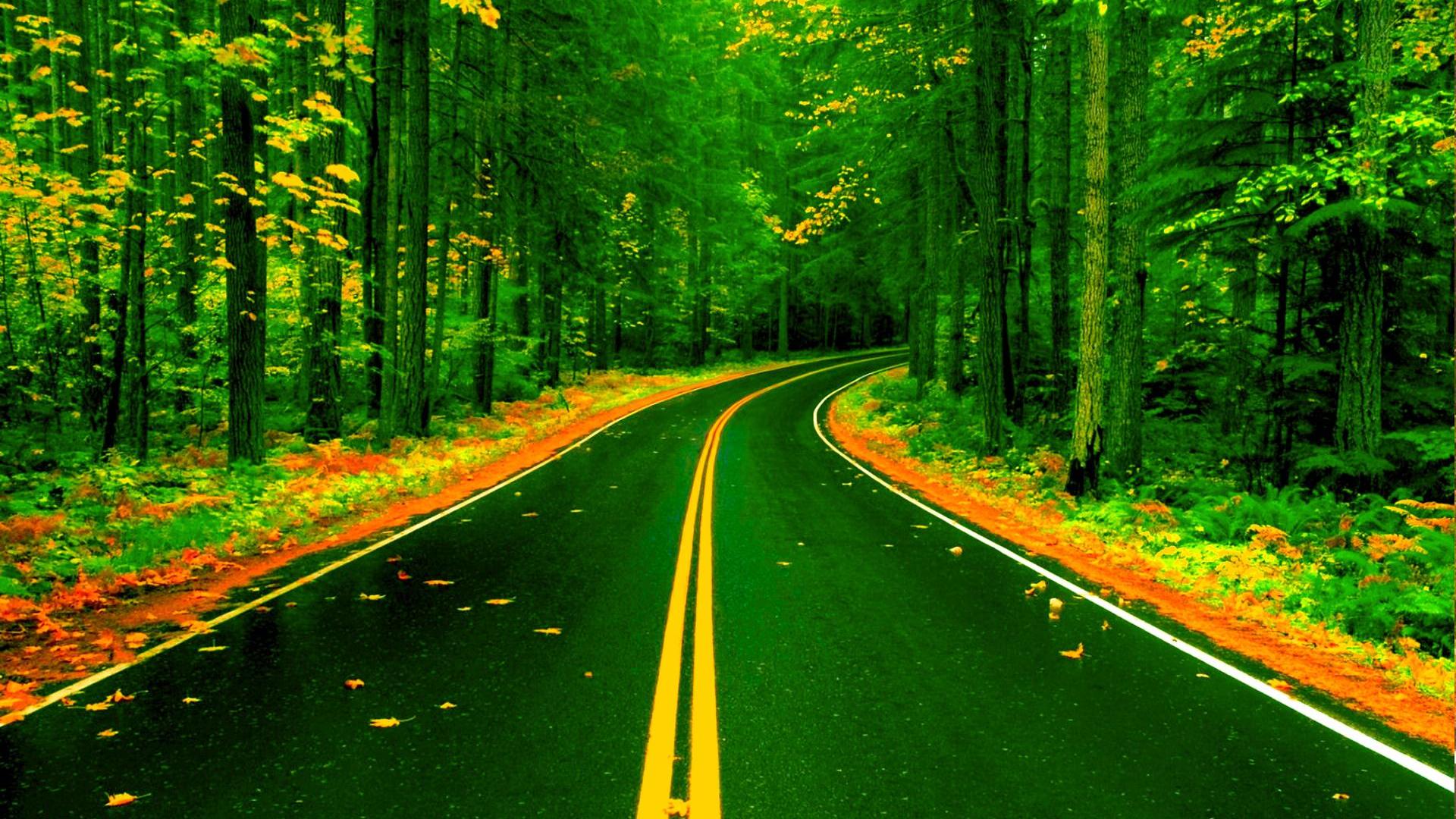 Free download wallpaper Road, Forest, Tree, Fall, Man Made on your PC desktop