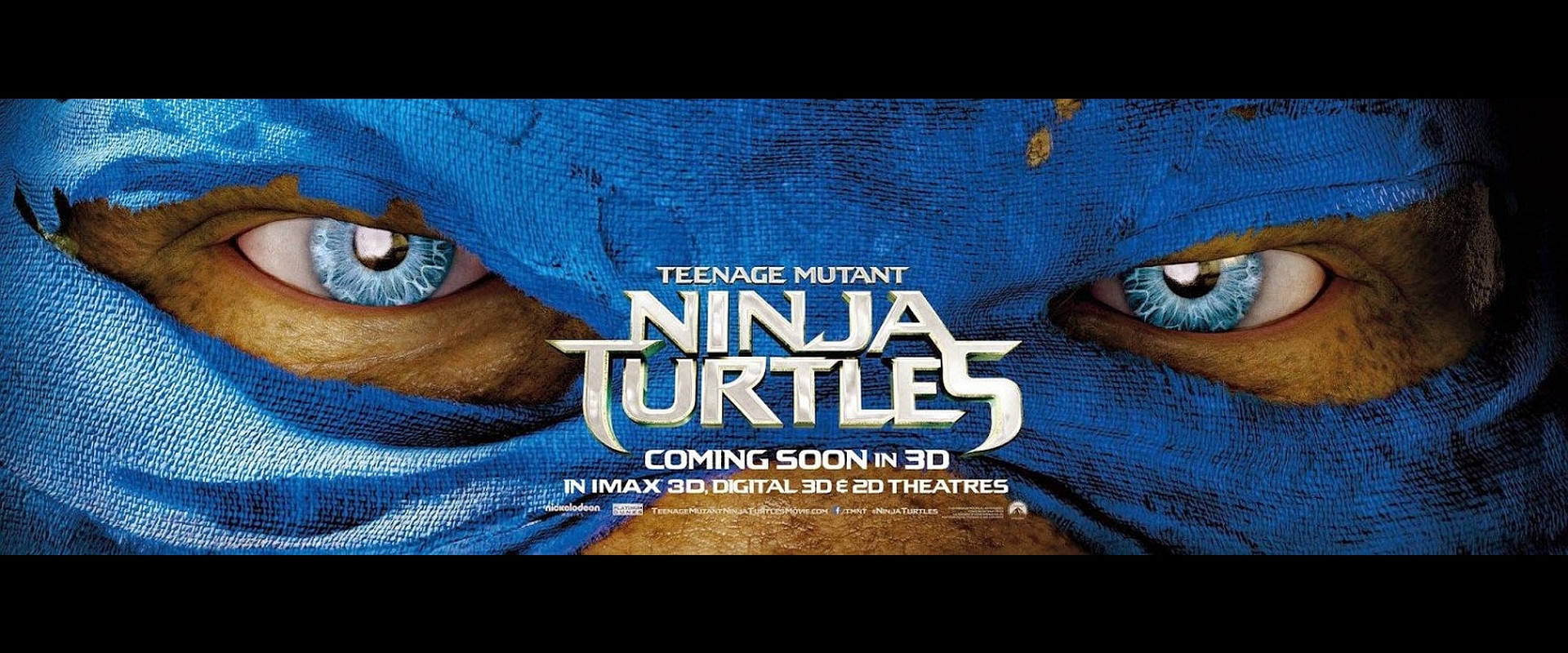 339713 Bild herunterladen filme, teenage mutant ninja turtles (2014), teenage mutant ninja turtles - Hintergrundbilder und Bildschirmschoner kostenlos