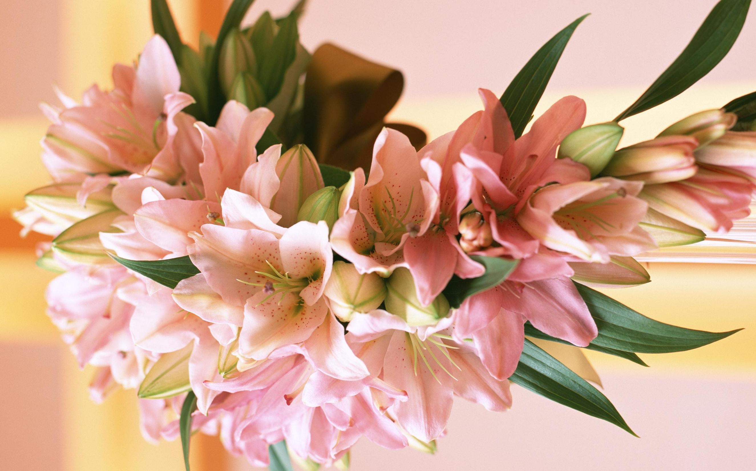 Free download wallpaper Flowers, Lilies, Typography, Registration, Bouquet, Leaves, Composition on your PC desktop