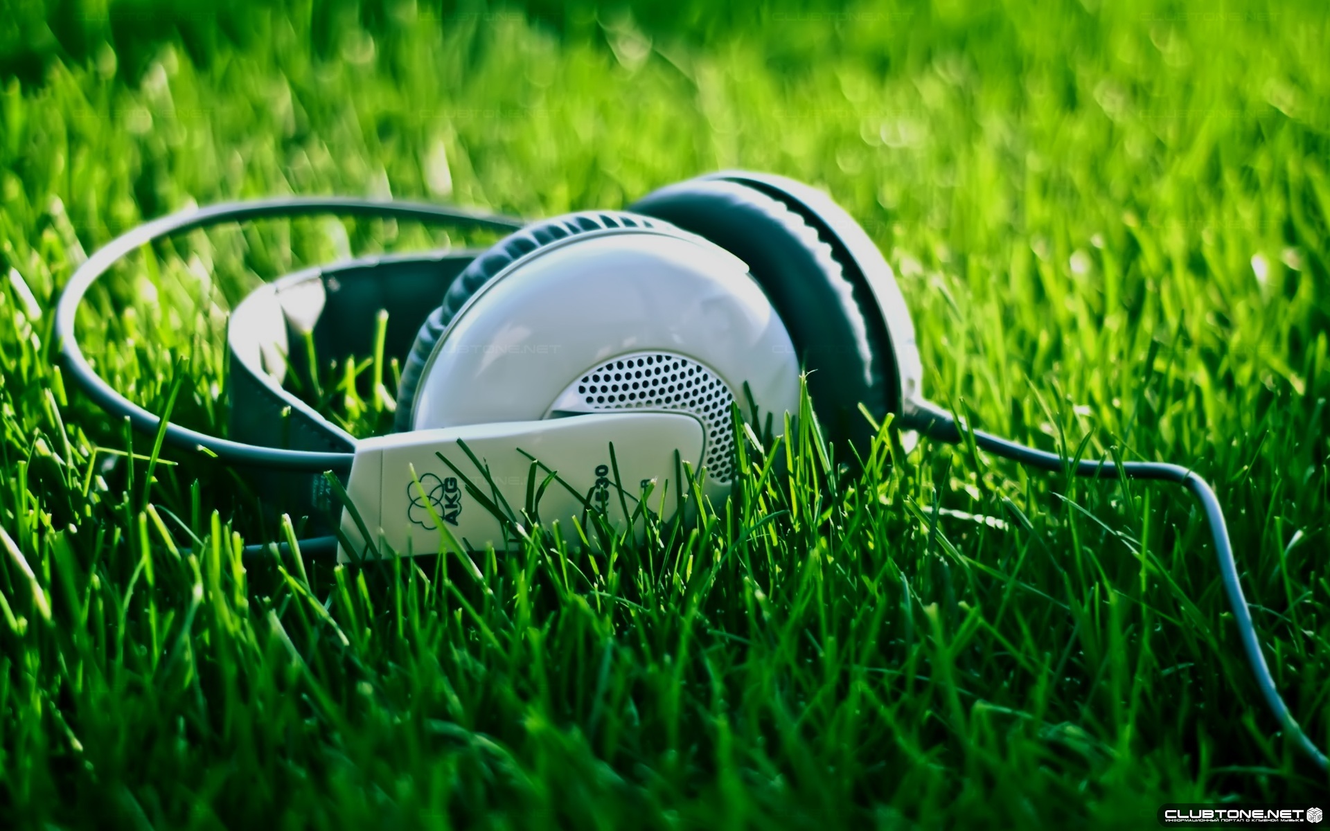 Laden Sie das Grass, Kopfhörer, Musik-Bild kostenlos auf Ihren PC-Desktop herunter