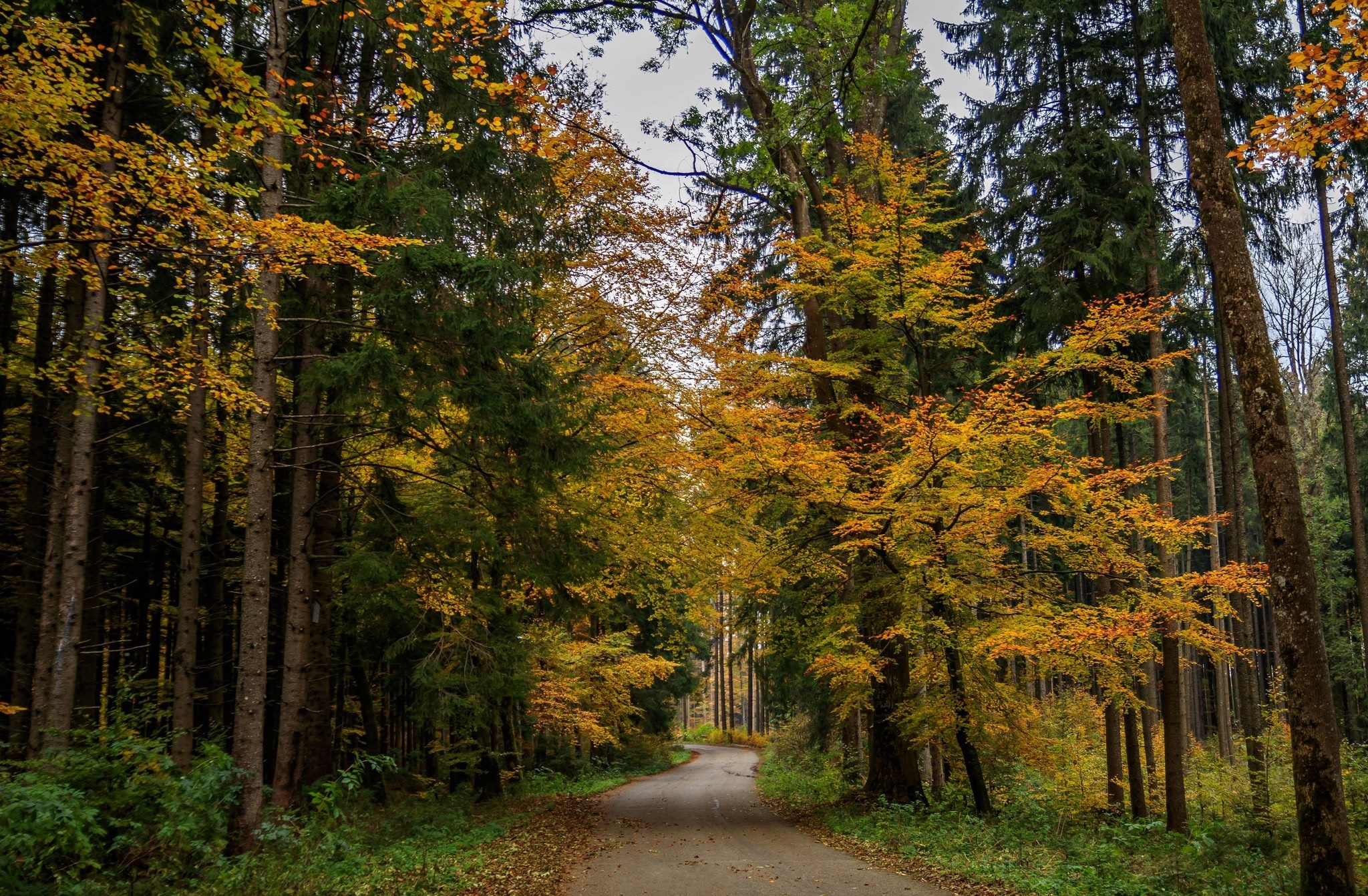 Baixe gratuitamente a imagem Estrada, Caminho, Terra/natureza na área de trabalho do seu PC