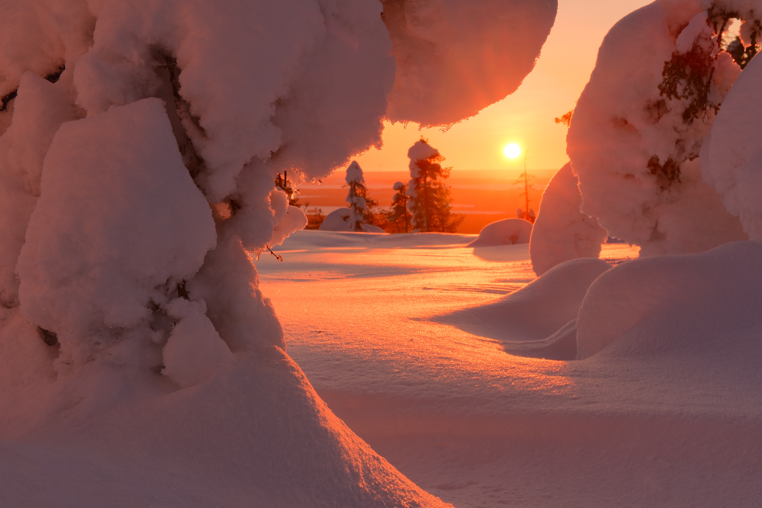 Laden Sie das Winter, Schnee, Erde/natur-Bild kostenlos auf Ihren PC-Desktop herunter