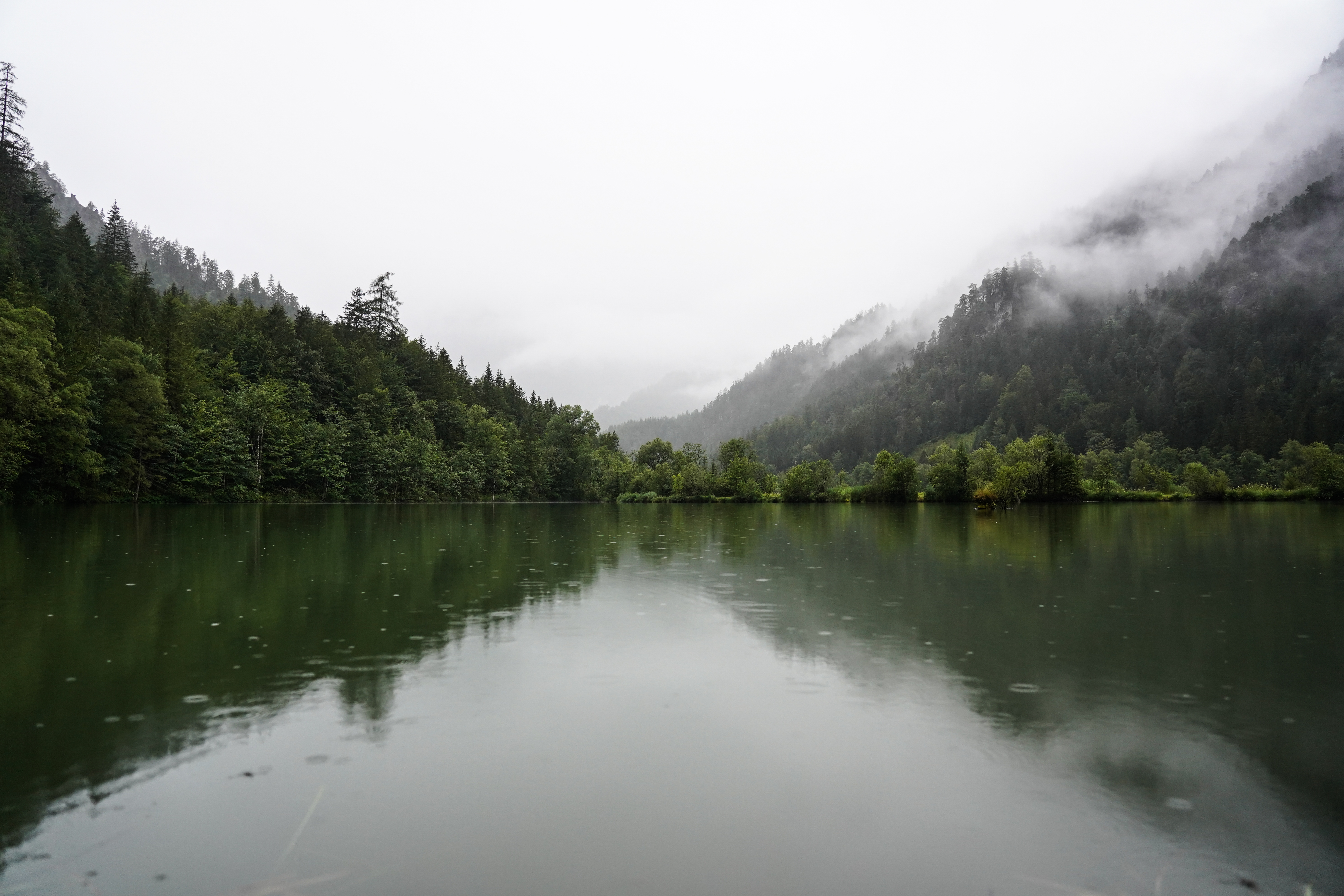 Download mobile wallpaper Spruce, Fir, Reflection, Fog, Lake, Forest, Nature for free.