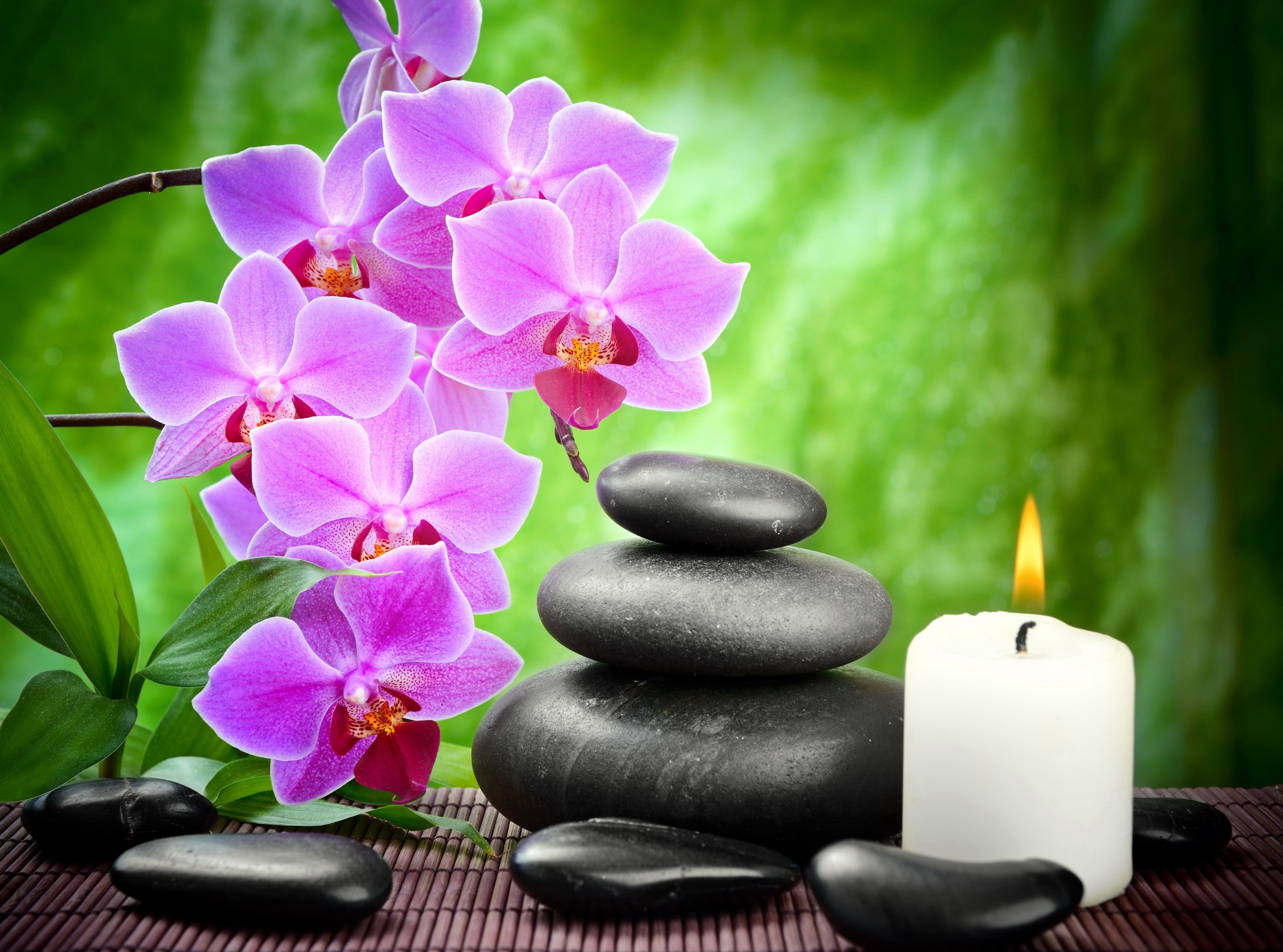 Free download wallpaper Leaf, Candle, Orchid, Zen, Religious on your PC desktop