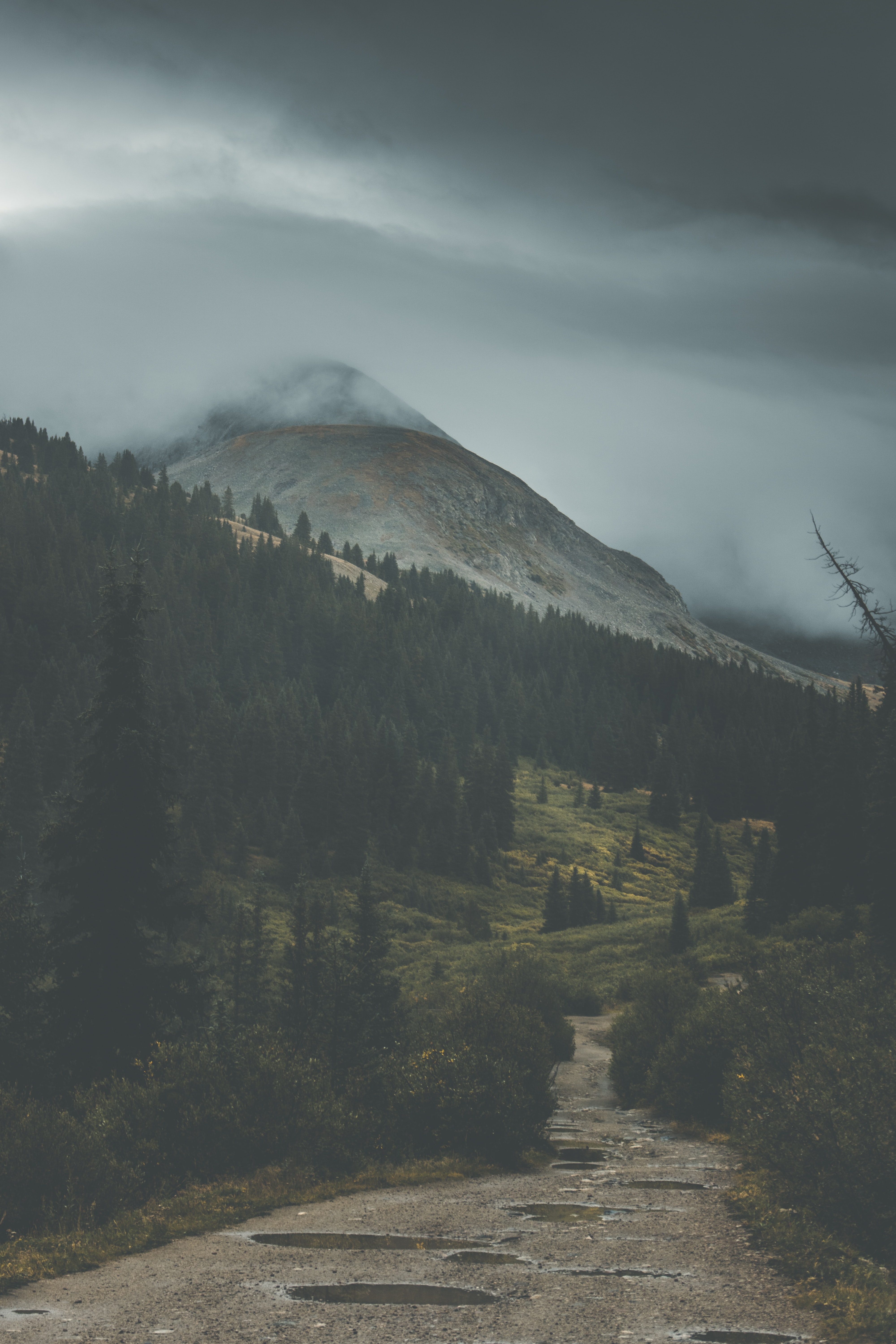 Laden Sie das Natur, Bäume, Mountains, Nebel, Steigung-Bild kostenlos auf Ihren PC-Desktop herunter