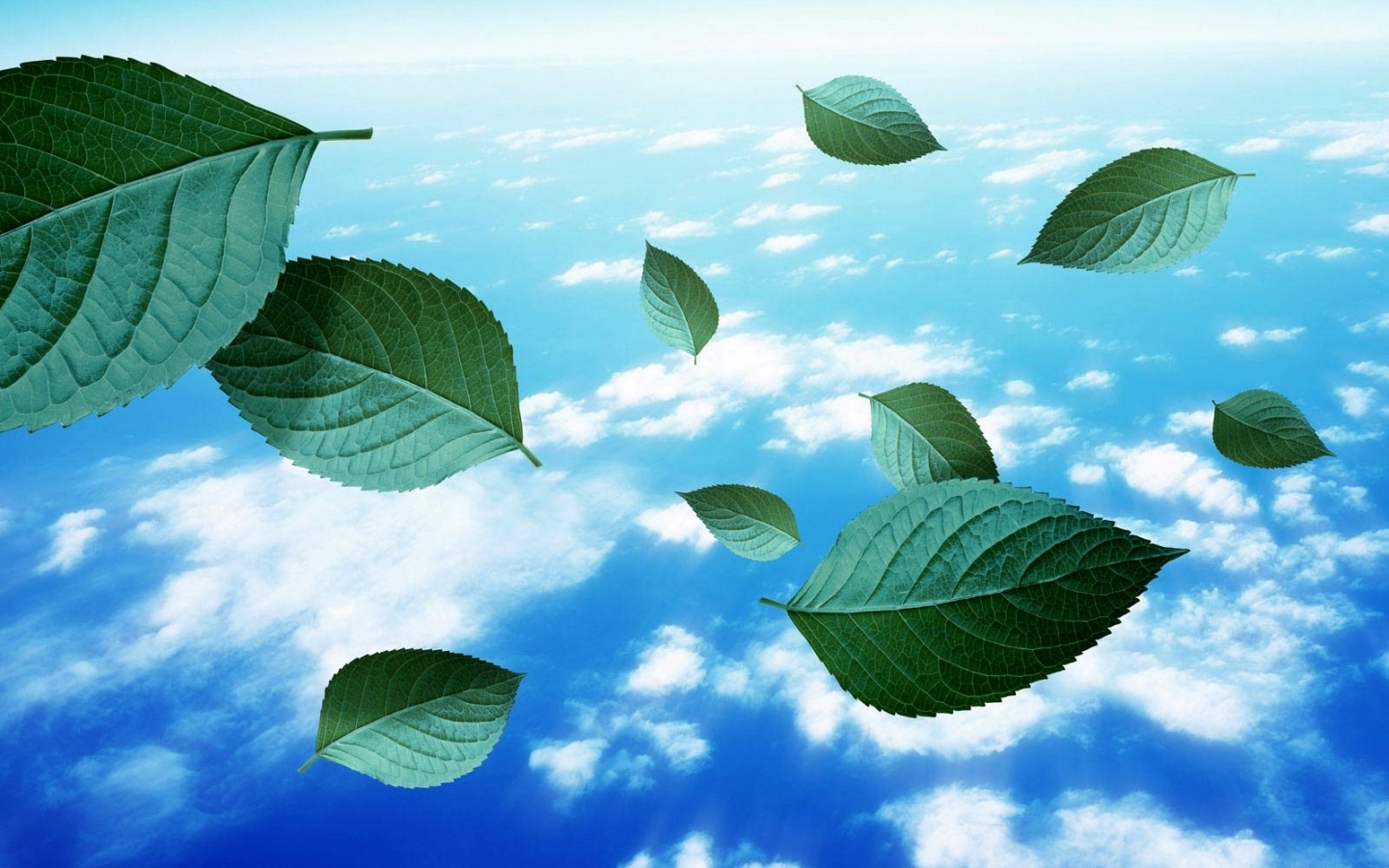 Free download wallpaper Plants, Landscape, Sky, Leaves, Clouds on your PC desktop