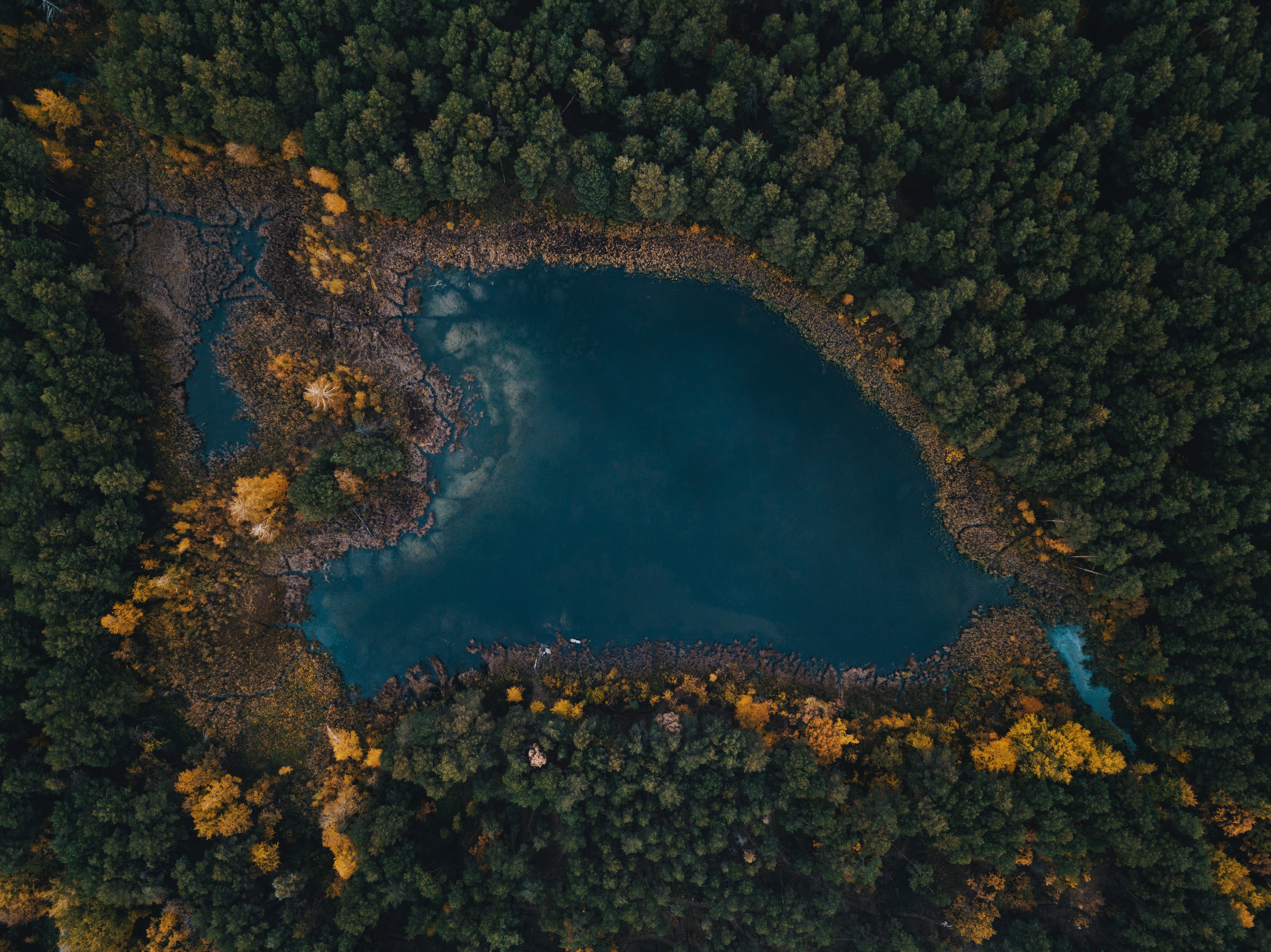 Free download wallpaper Nature, View From Above, Trees, Lake on your PC desktop