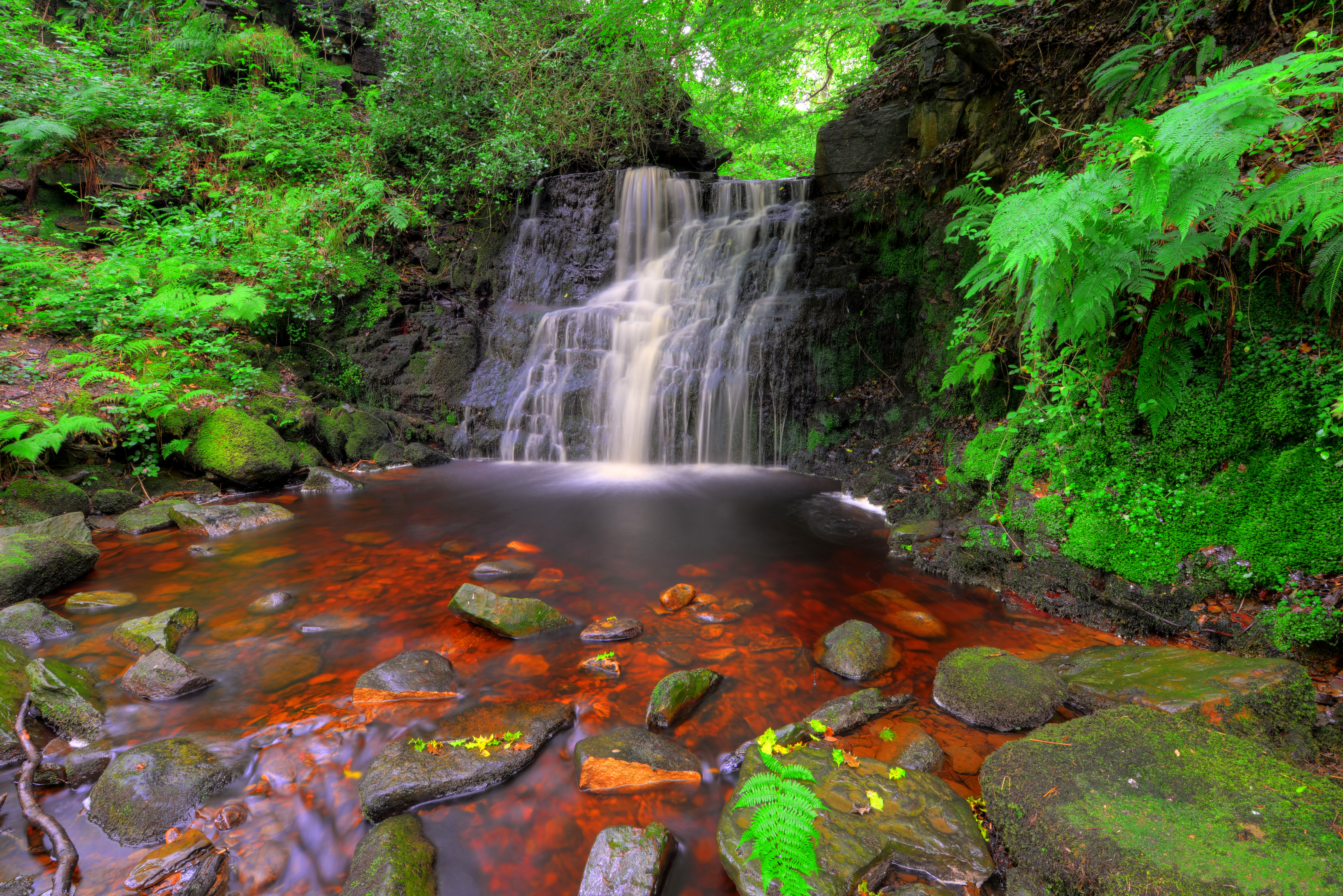 Laden Sie das Natur, Wasserfälle, Farne, Wasserfall, Erde/natur-Bild kostenlos auf Ihren PC-Desktop herunter