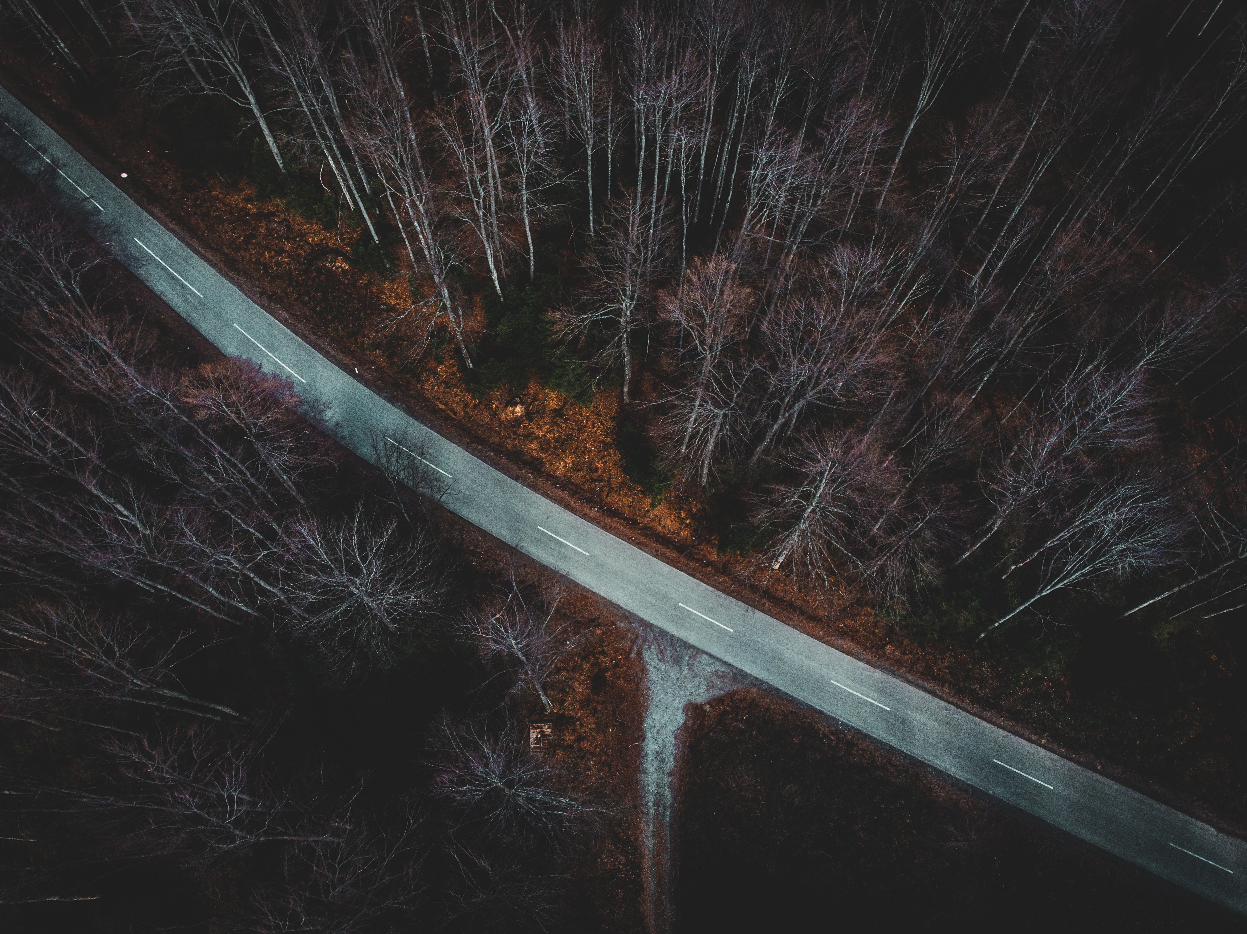 Free download wallpaper Branches, Nature, View From Above, Forest, Trees, Road, Autumn on your PC desktop