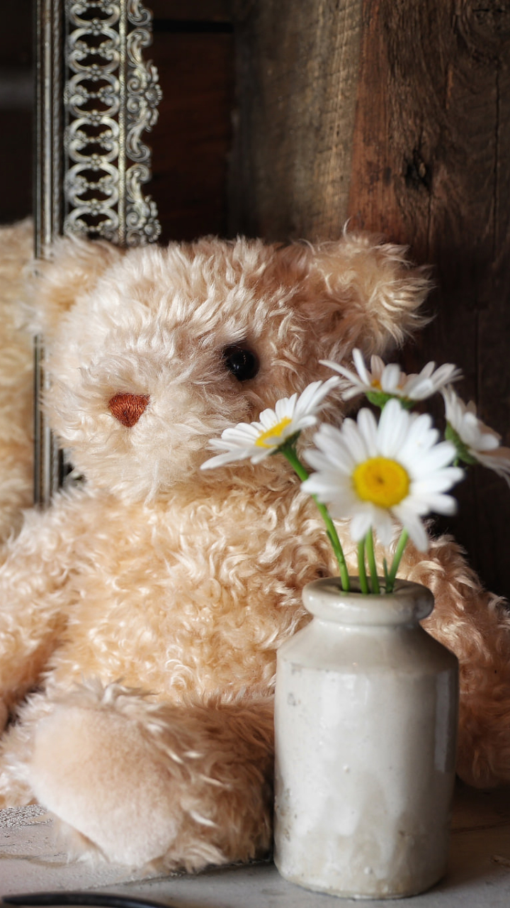 Handy-Wallpaper Teddybär, Spiegel, Weiße Blume, Menschengemacht, Spiegelung, Kuscheltier, Betrachtung kostenlos herunterladen.