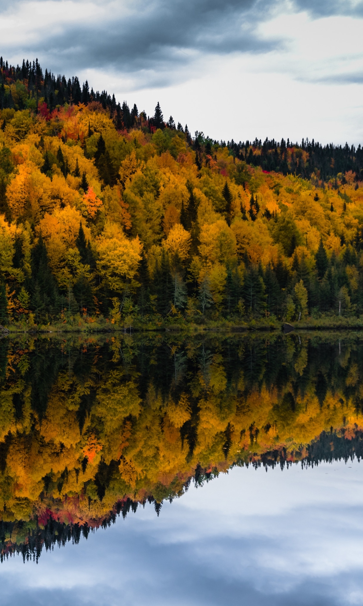 Скачать картинку Осень, Отражение, Падать, Земля/природа в телефон бесплатно.