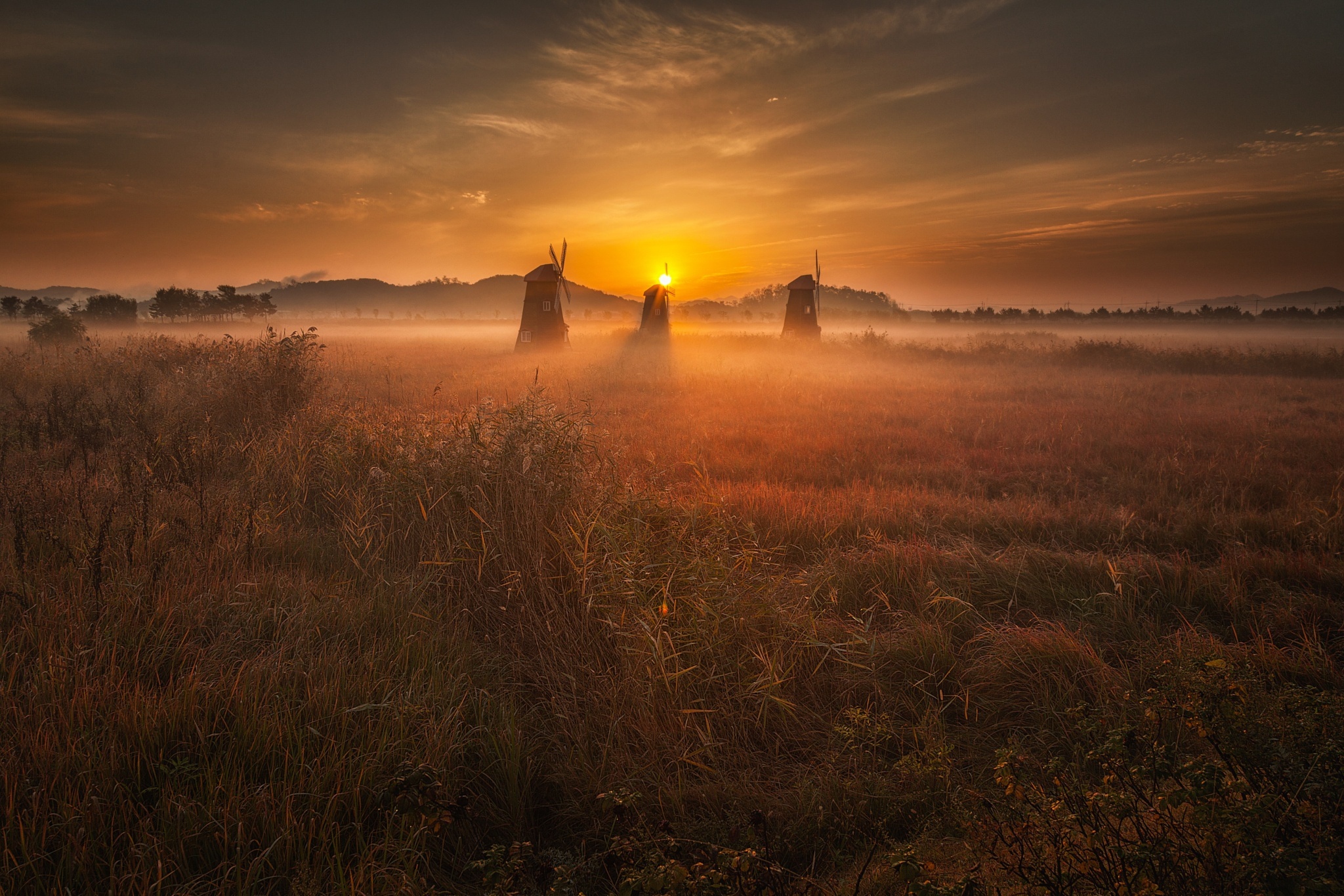 Téléchargez gratuitement l'image Paysage, Brouillard, Champ, Moulin À Vent, Construction Humaine, La Nature, Lever De Soleil sur le bureau de votre PC