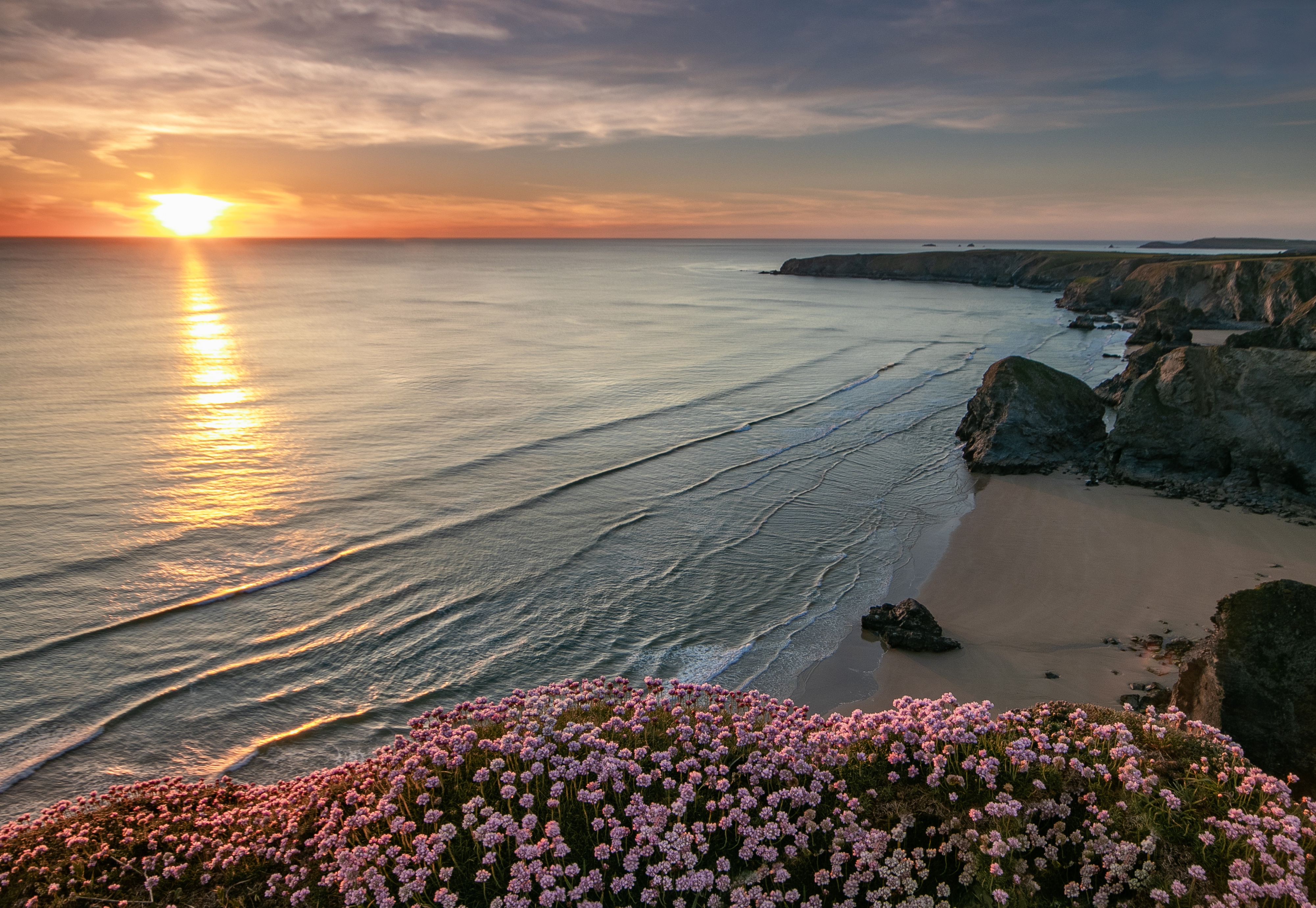 Download mobile wallpaper Sunset, Beach, Horizon, Flower, Coast, Ocean, Earth, England for free.