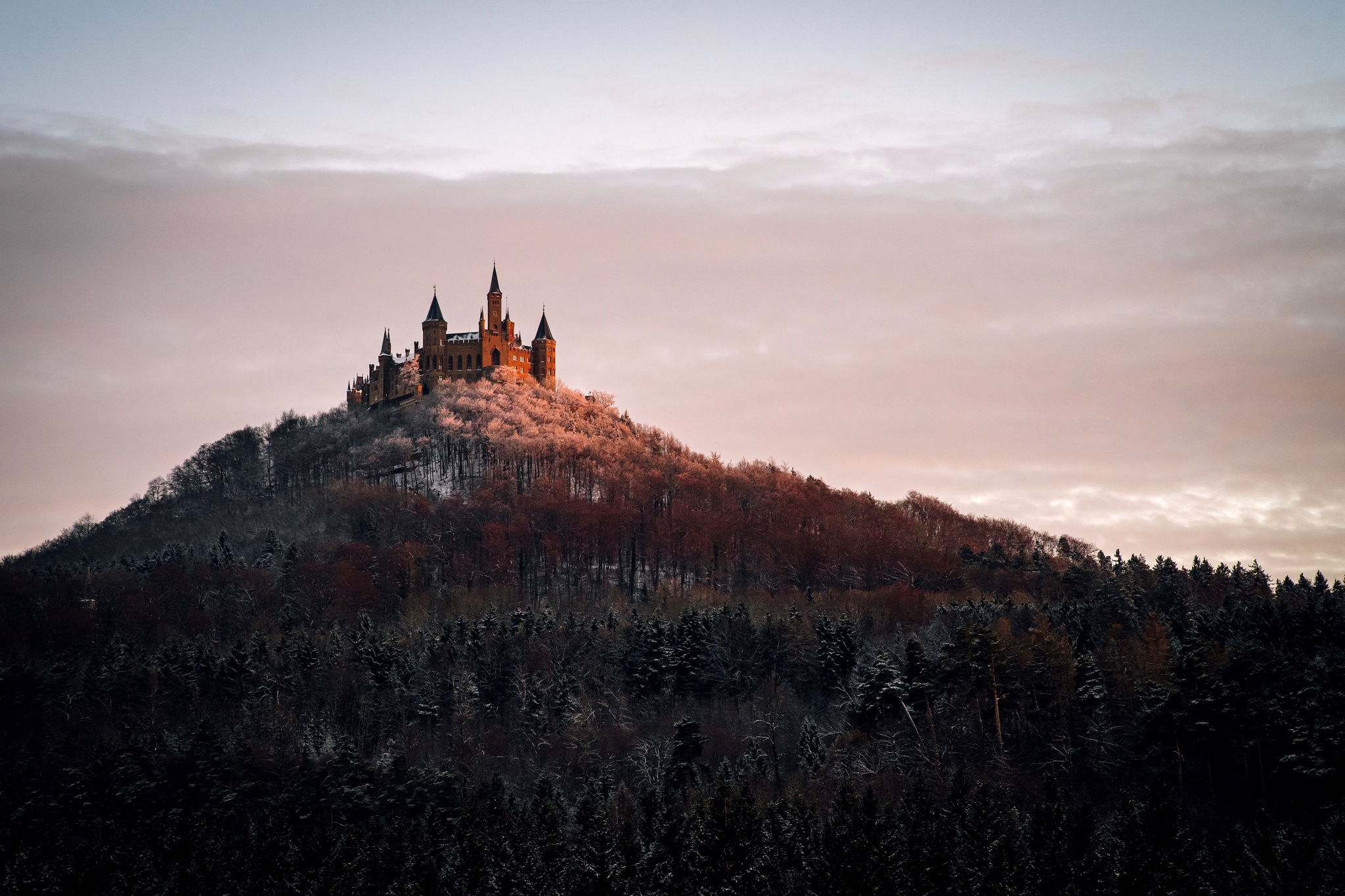 402511 descargar fondo de pantalla hecho por el hombre, castillo hohenzollern, castillo, bosque, alemania, colina, castillos: protectores de pantalla e imágenes gratis