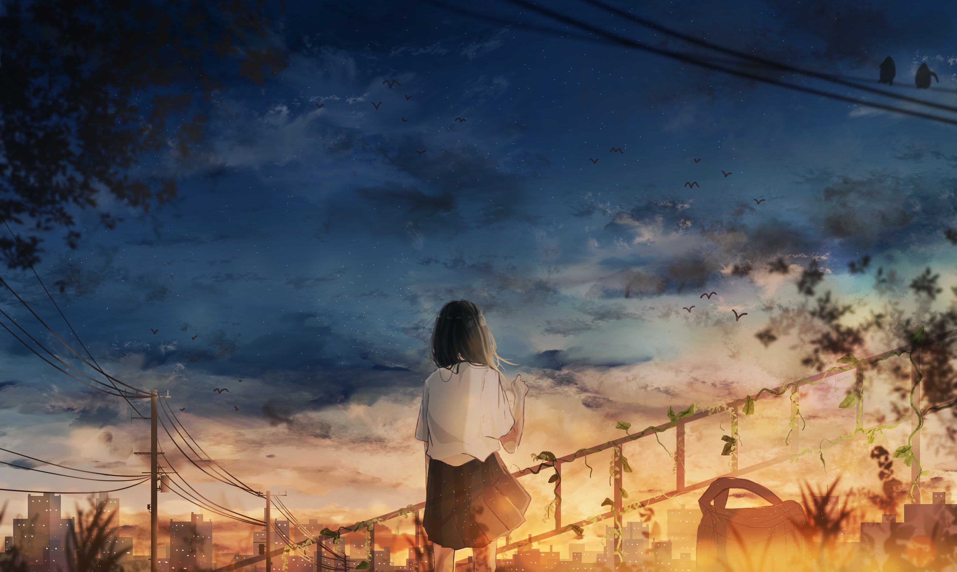 Free download wallpaper Anime, Sunset, Bird, Original, Black Hair, Short Hair on your PC desktop